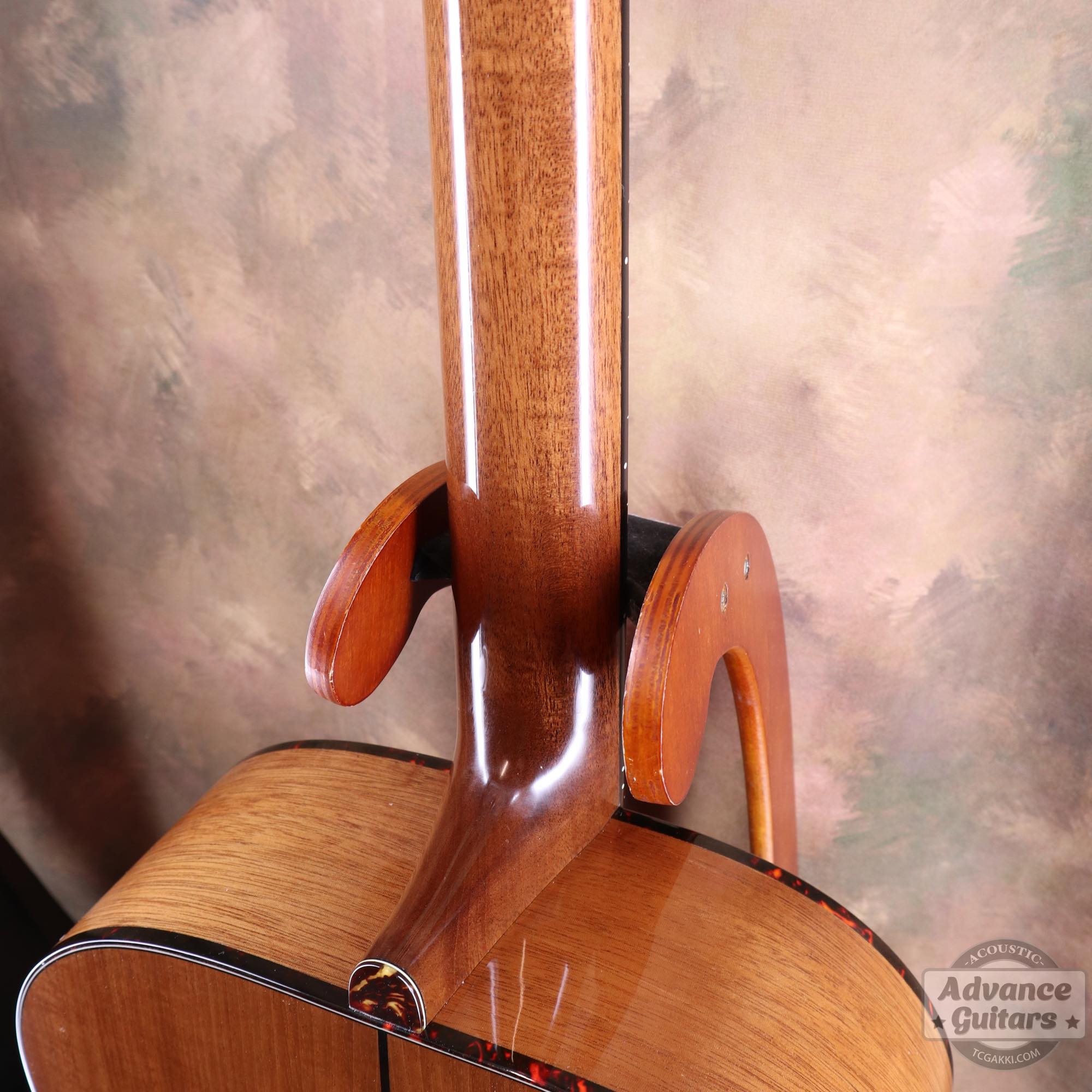 Mahogany Early Slope Shoulder Advance Guitars Signature Model - TC楽器 - TCGAKKI