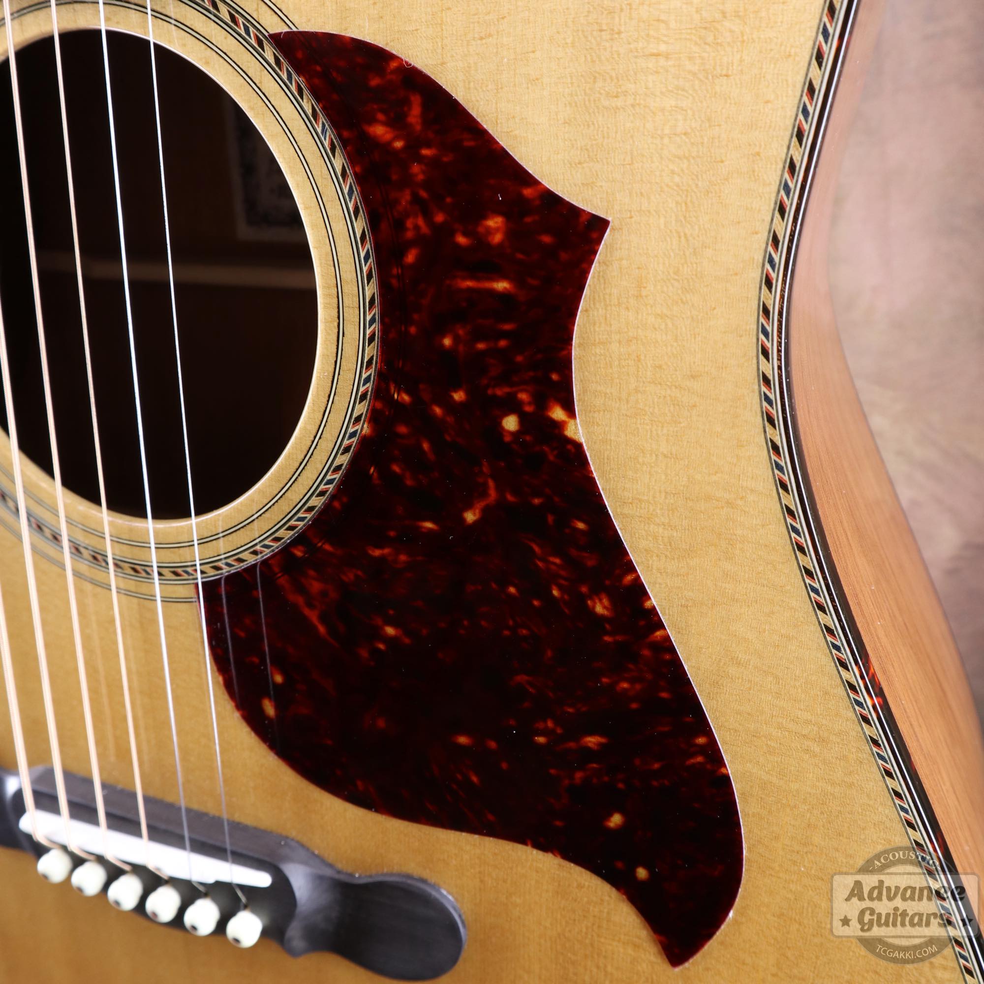 Mahogany Early Slope Shoulder Advance Guitars Signature Model - TC楽器 - TCGAKKI