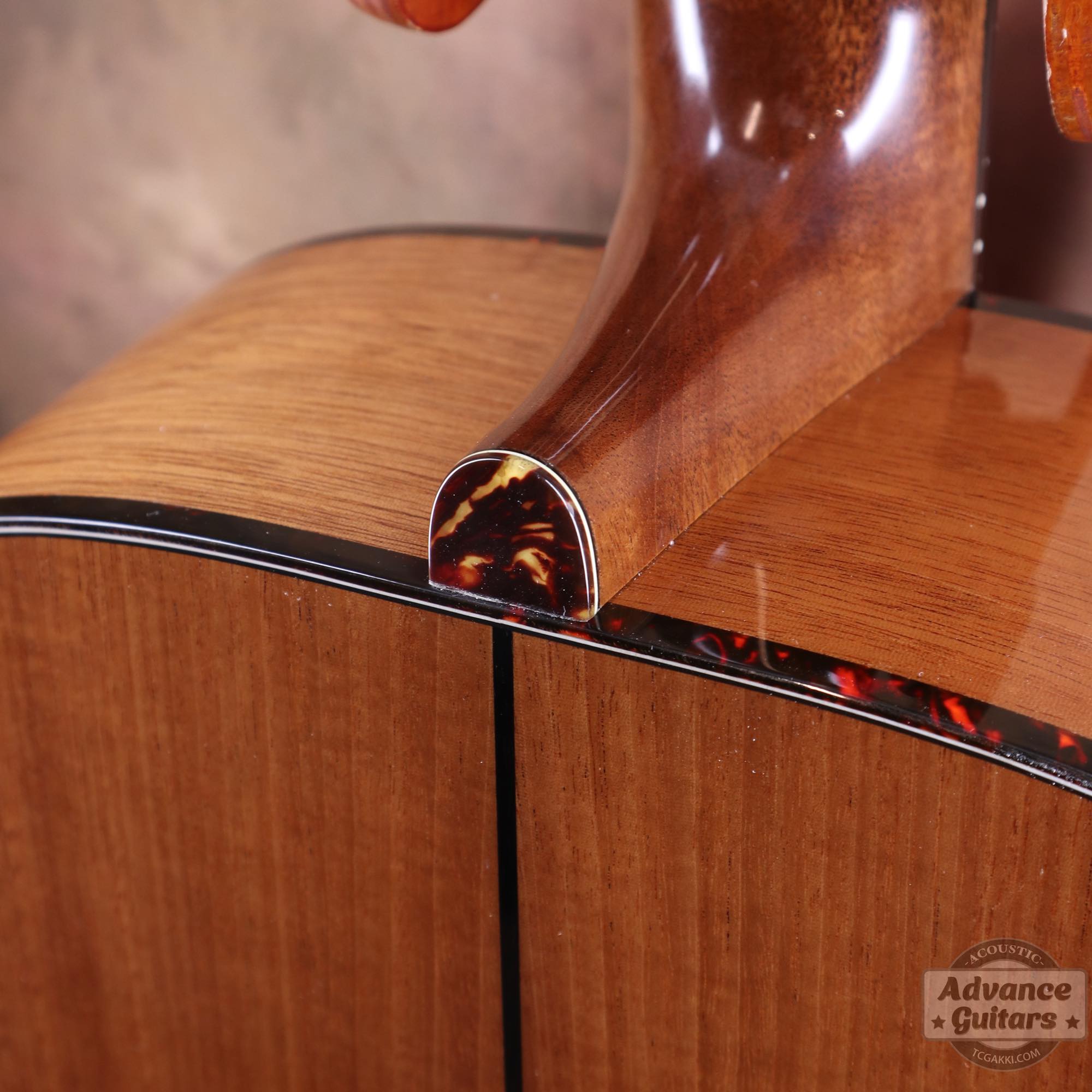 Mahogany Early Slope Shoulder Advance Guitars Signature Model - TC楽器 - TCGAKKI