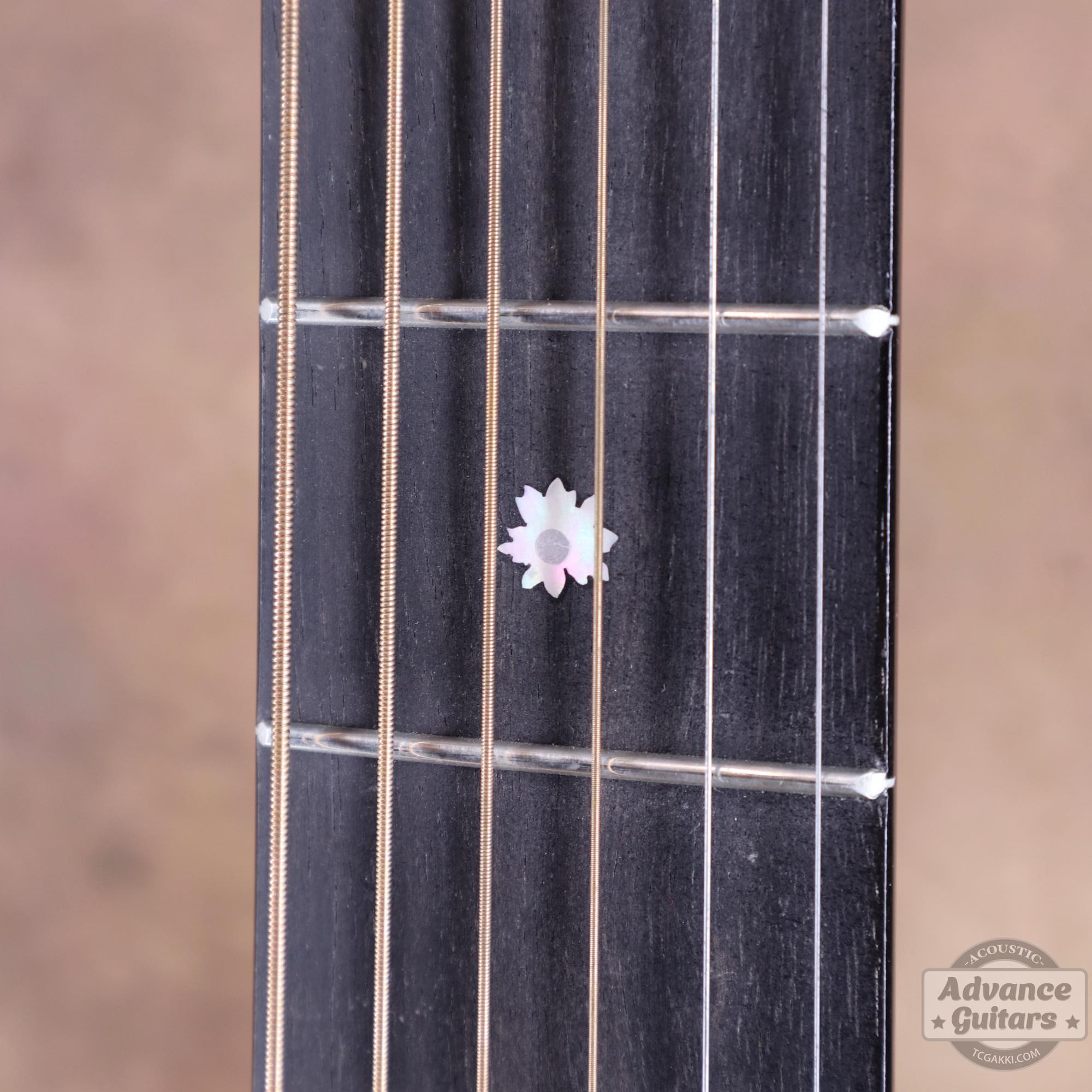 Mahogany Early Slope Shoulder Advance Guitars Signature Model - TC楽器 - TCGAKKI
