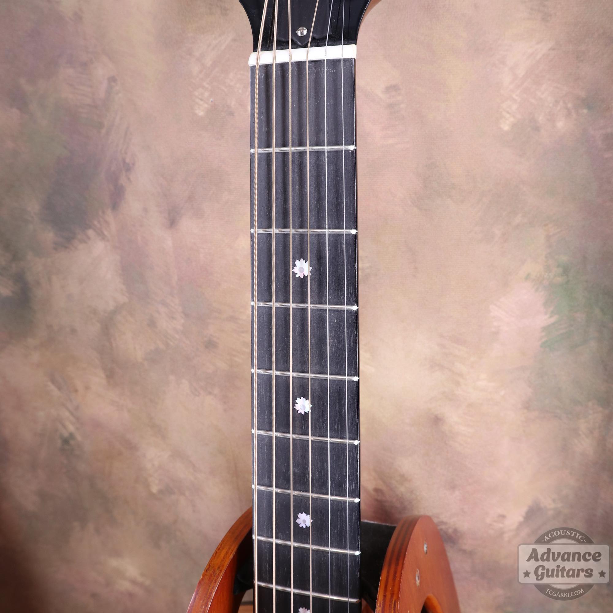 Mahogany Early Slope Shoulder Advance Guitars Signature Model - TC楽器 - TCGAKKI