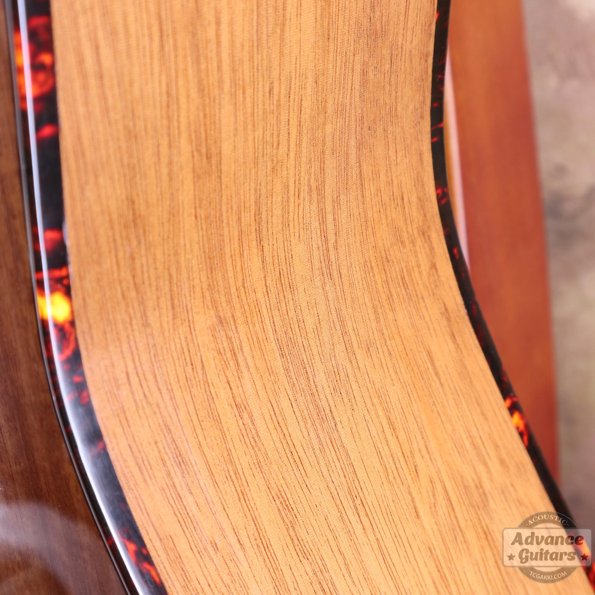 Mahogany Early Slope Shoulder Advance Guitars Signature Model - TC楽器 - TCGAKKI