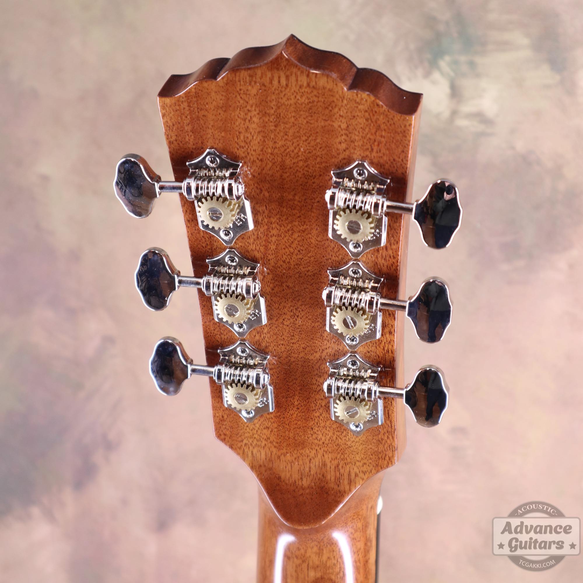 Mahogany Early Slope Shoulder Advance Guitars Signature Model - TC楽器 - TCGAKKI