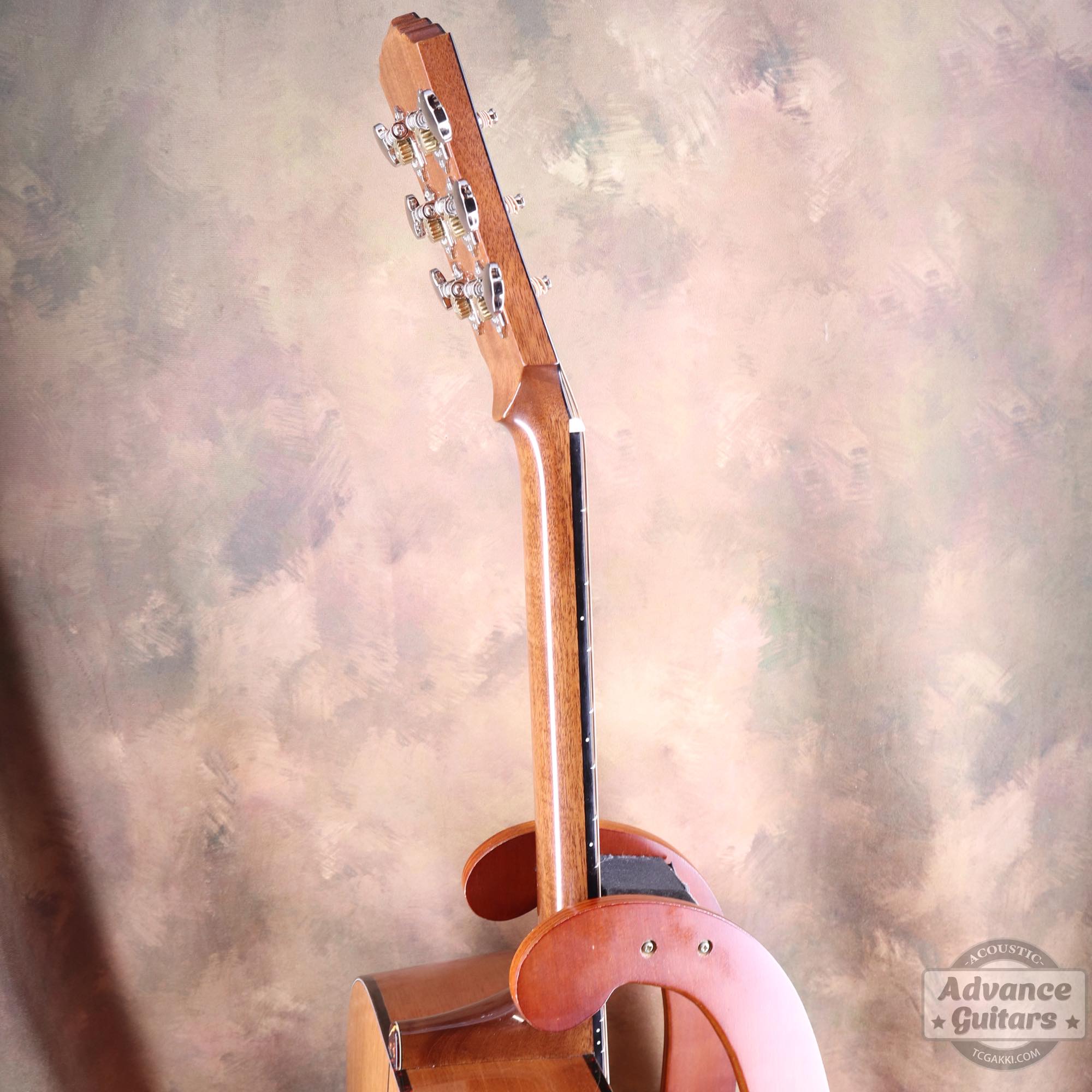 Mahogany Early Slope Shoulder Advance Guitars Signature Model - TC楽器 - TCGAKKI