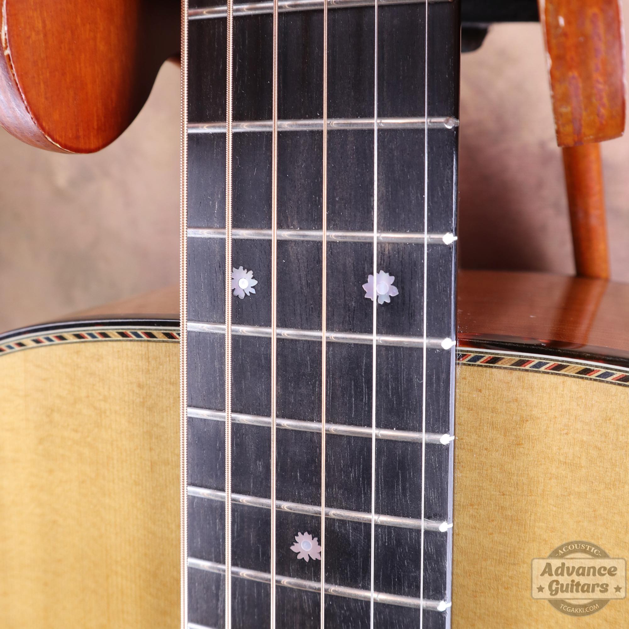 Mahogany Early Slope Shoulder Advance Guitars Signature Model - TC楽器 - TCGAKKI