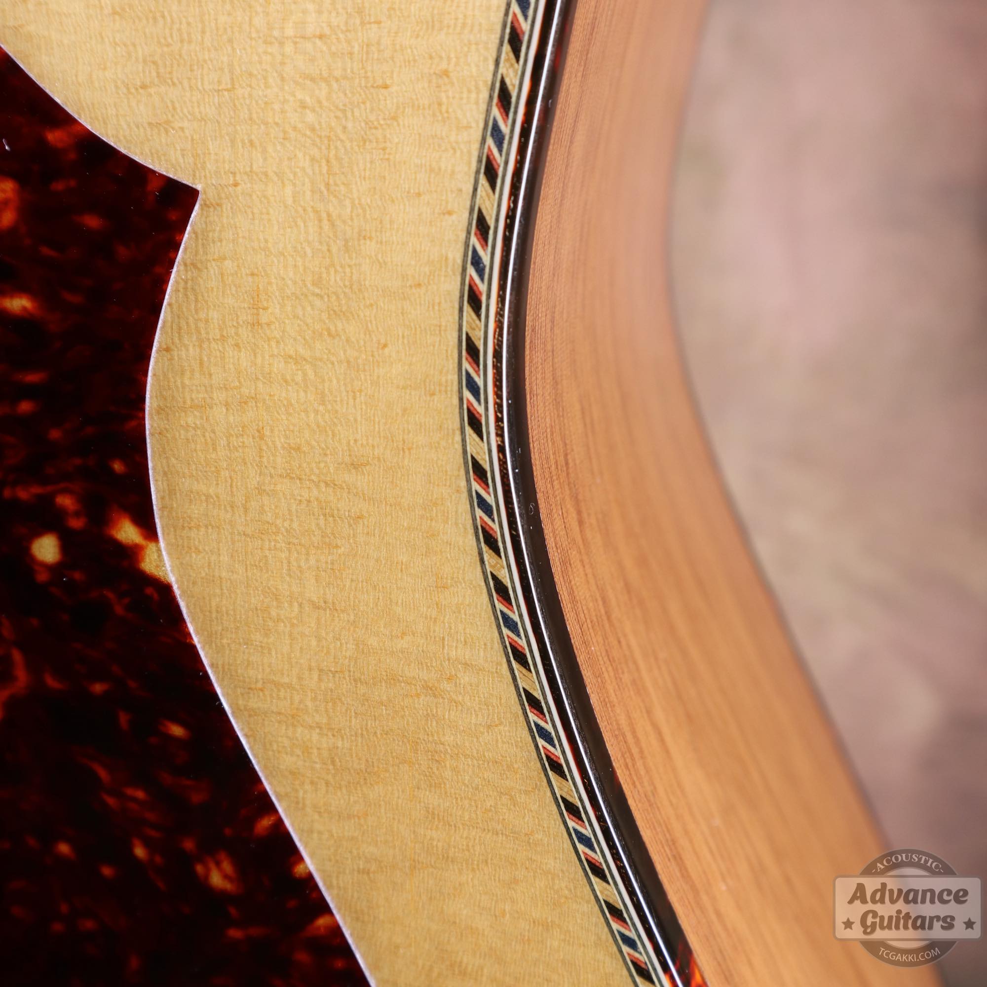 Mahogany Early Slope Shoulder Advance Guitars Signature Model - TC楽器 - TCGAKKI