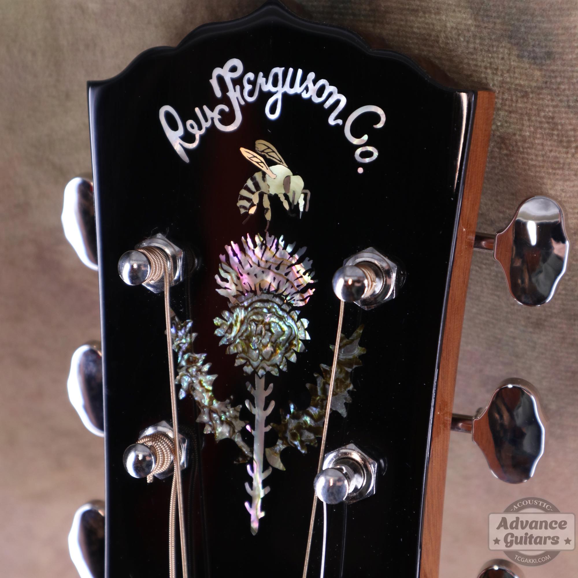 Mahogany Early Slope Shoulder Advance Guitars Signature Model - TC楽器 - TCGAKKI