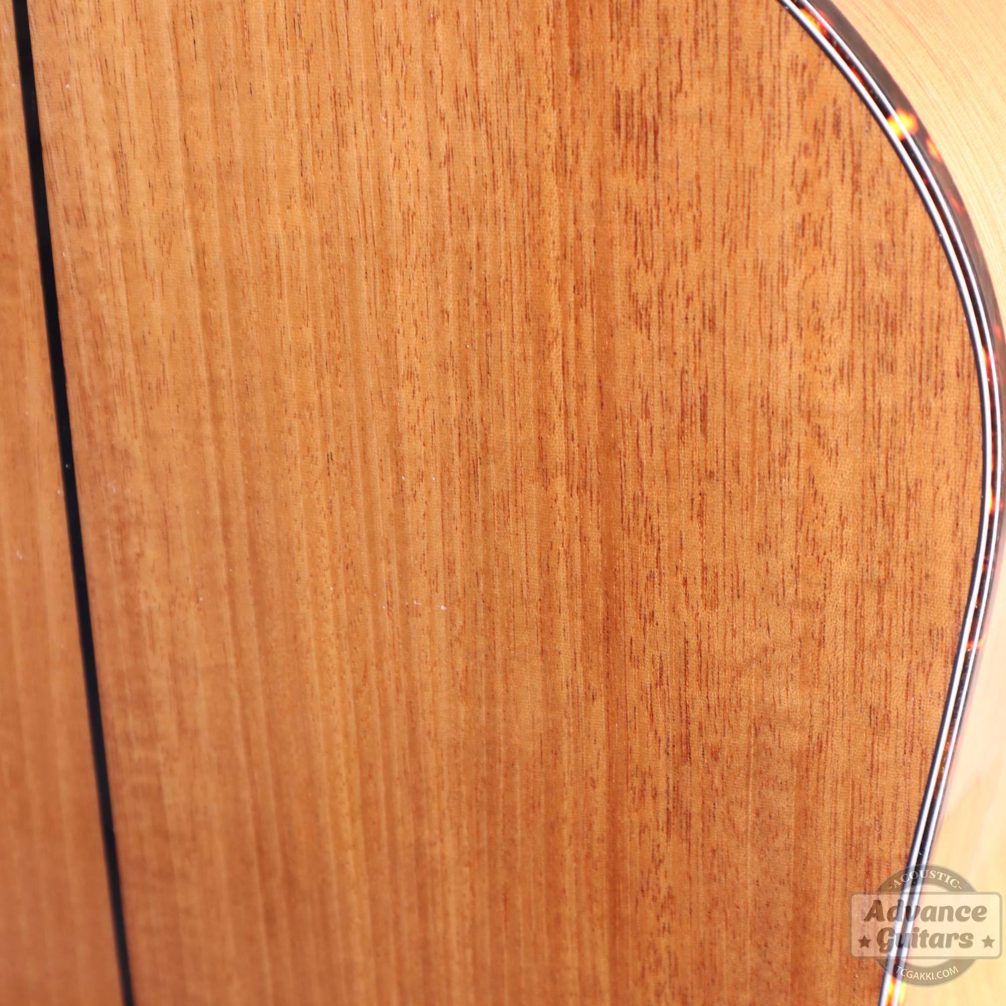 Mahogany Early Slope Shoulder Advance Guitars Signature Model - TC楽器 - TCGAKKI