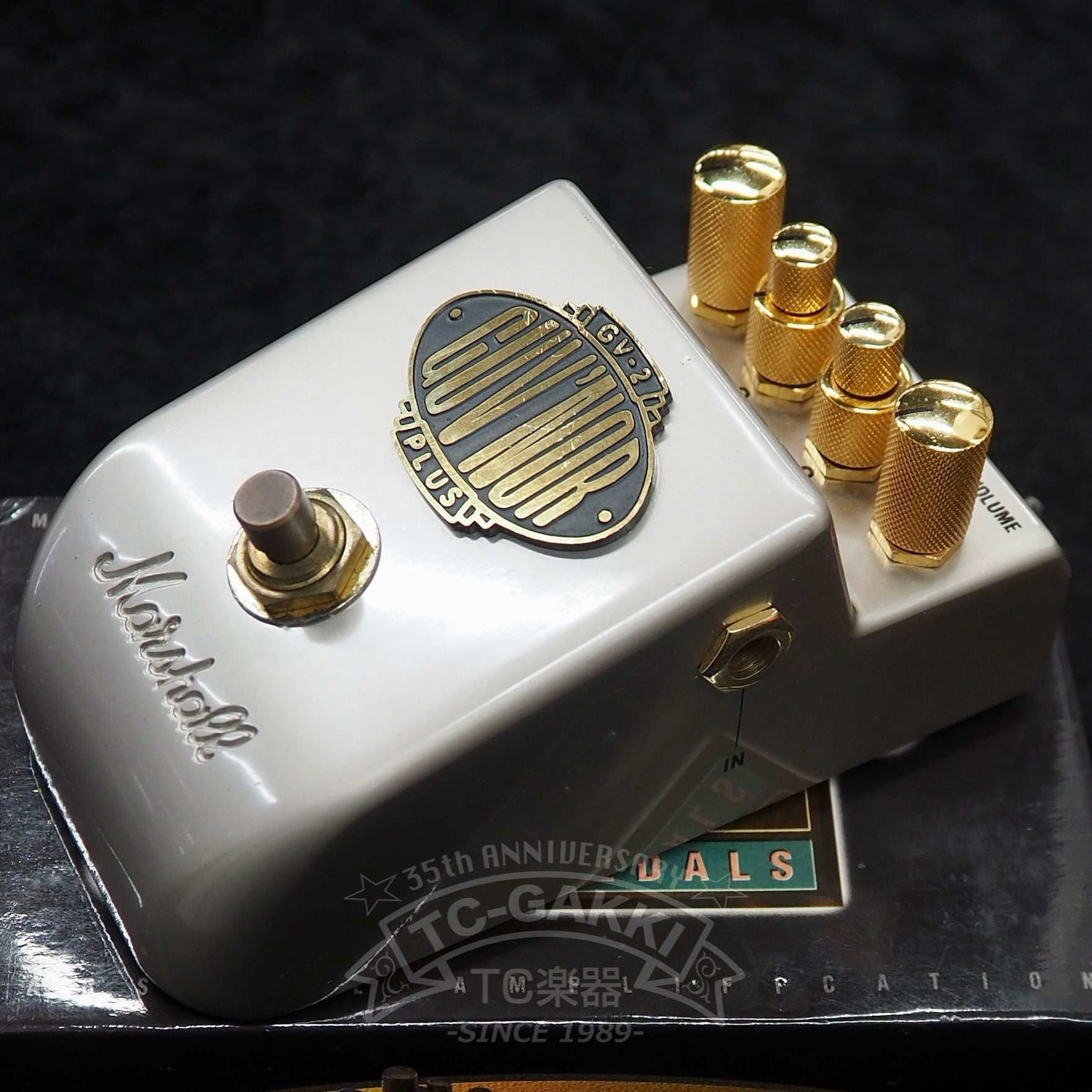 Marshall GV-2 THE GUV'NOR PLUS