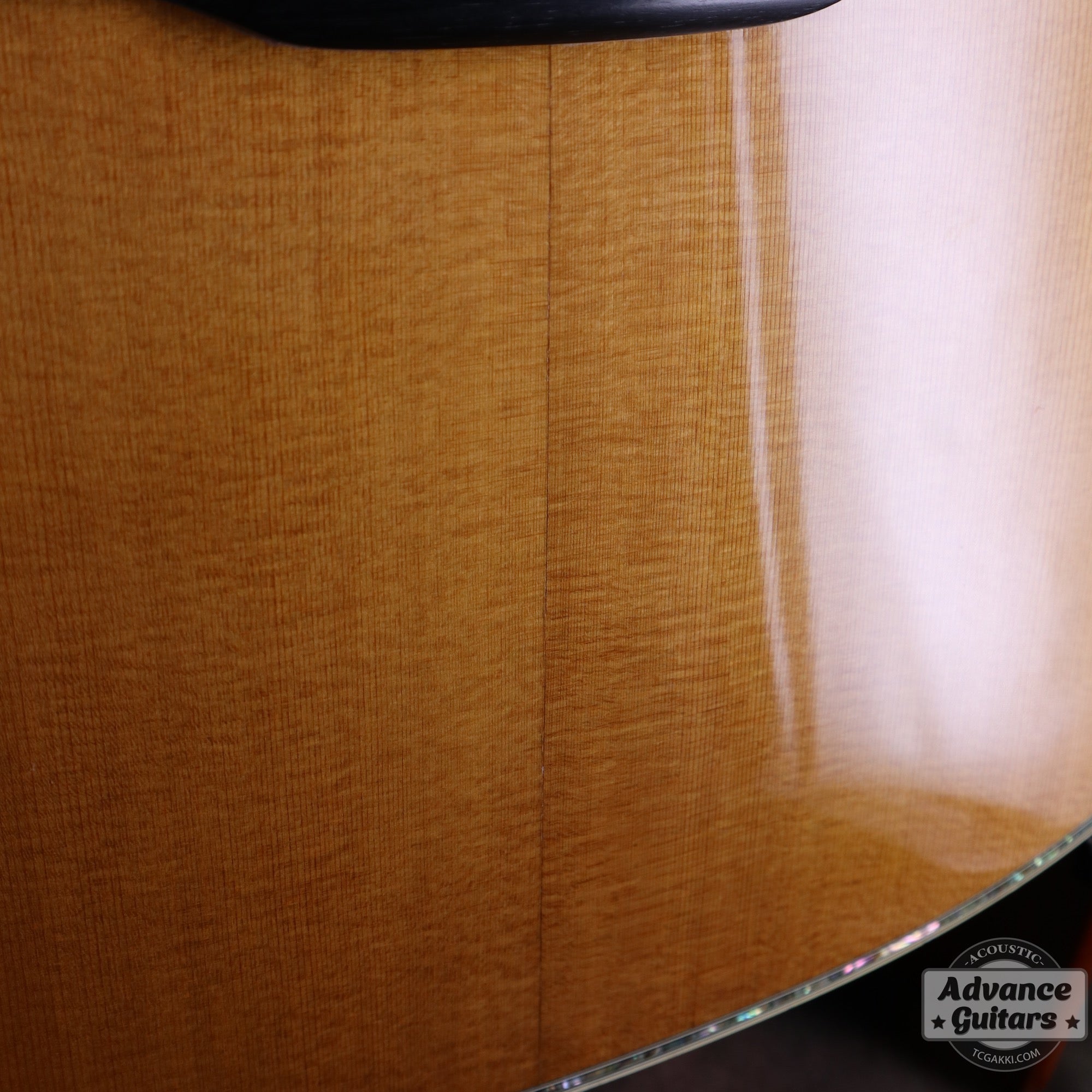 Martin 2008年製 D-45 - TC楽器 - TCGAKKI