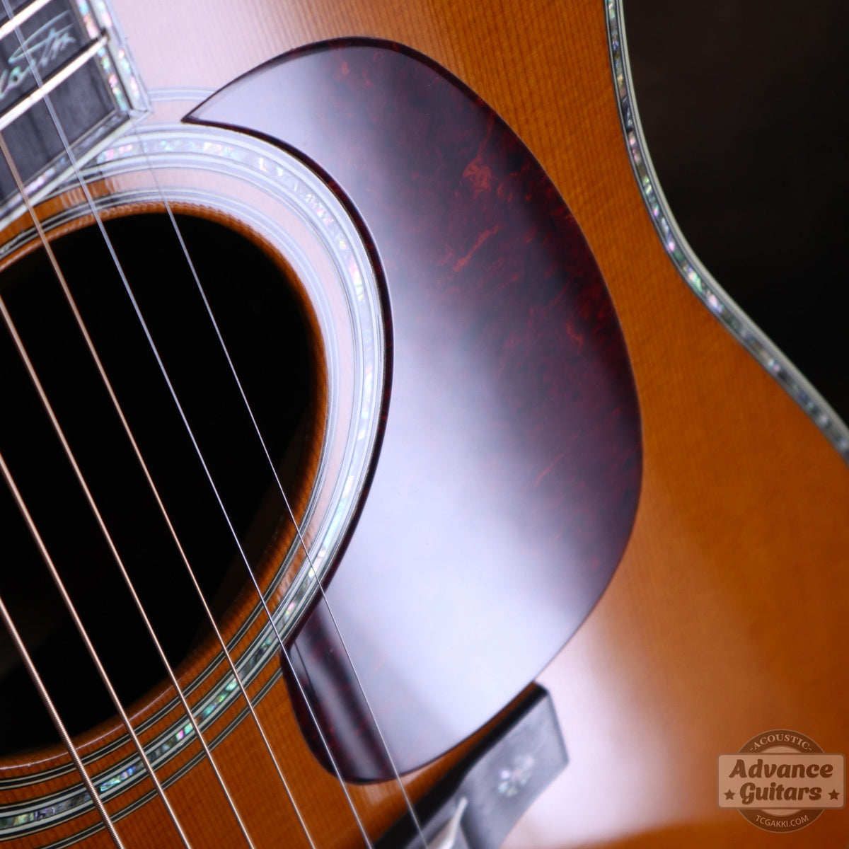 Martin 200th Anniversary D-45 Deluxe Commemorative - TC楽器 - TCGAKKI