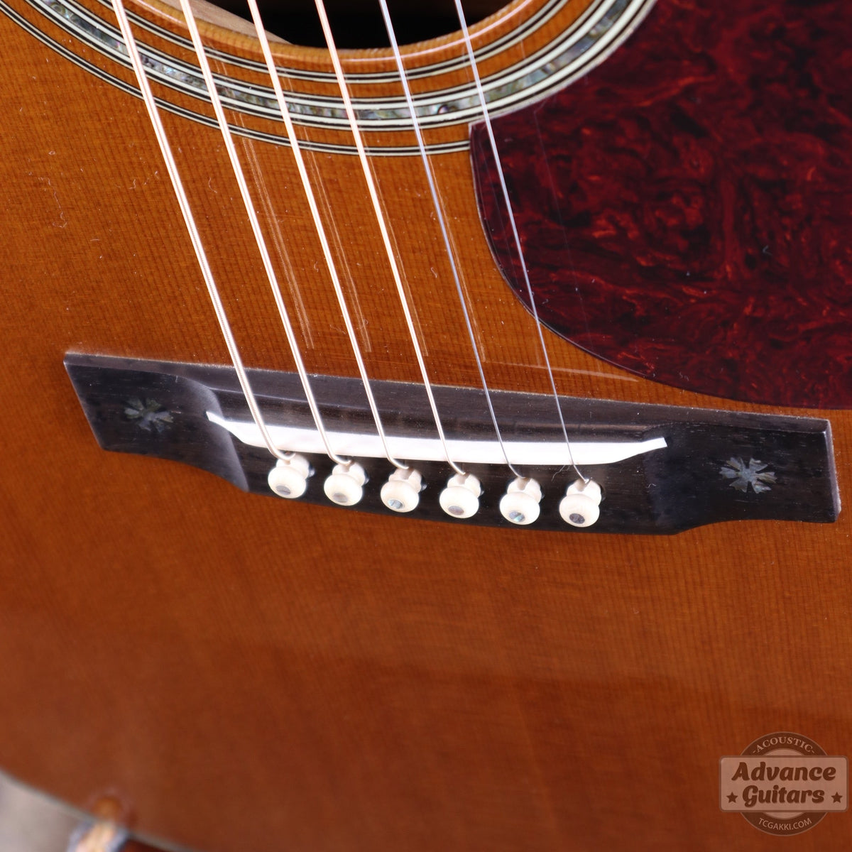 Martin 200th Anniversary D-45 Deluxe Commemorative - TC楽器 - TCGAKKI