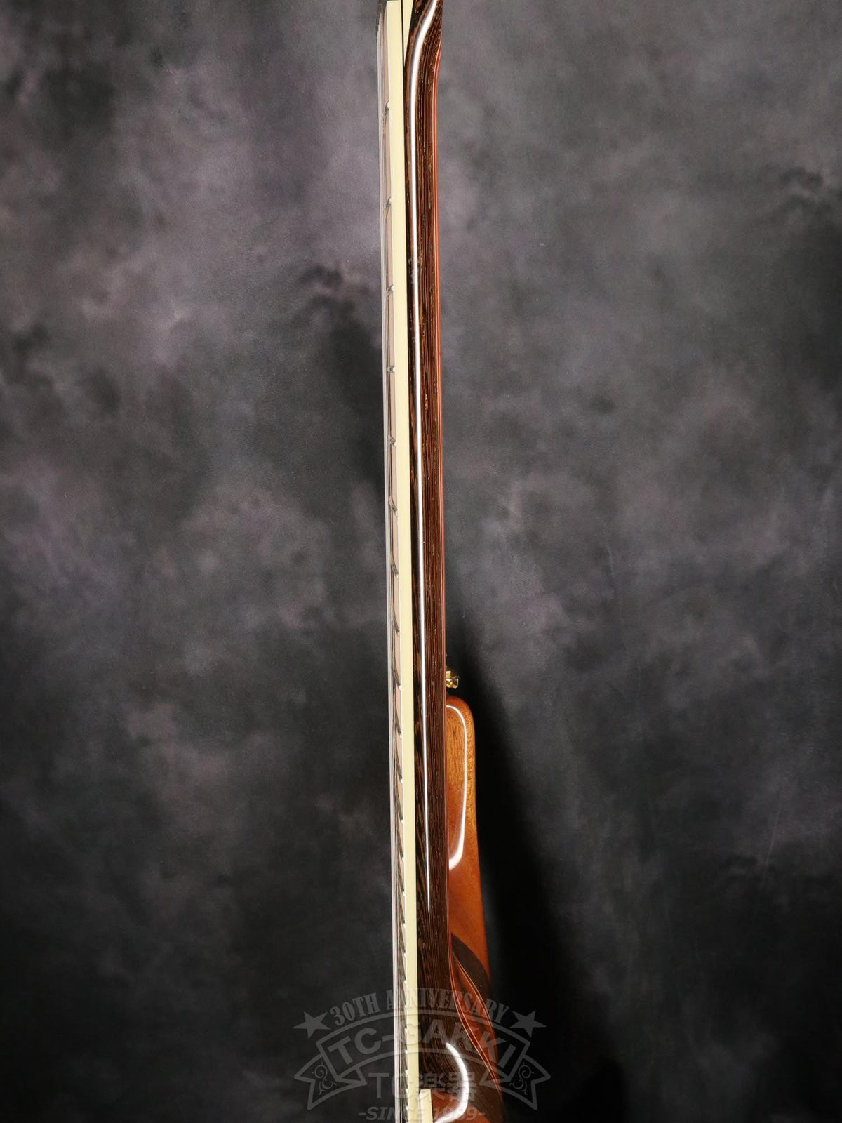 Mayones Regius 7 - TC楽器 - TCGAKKI