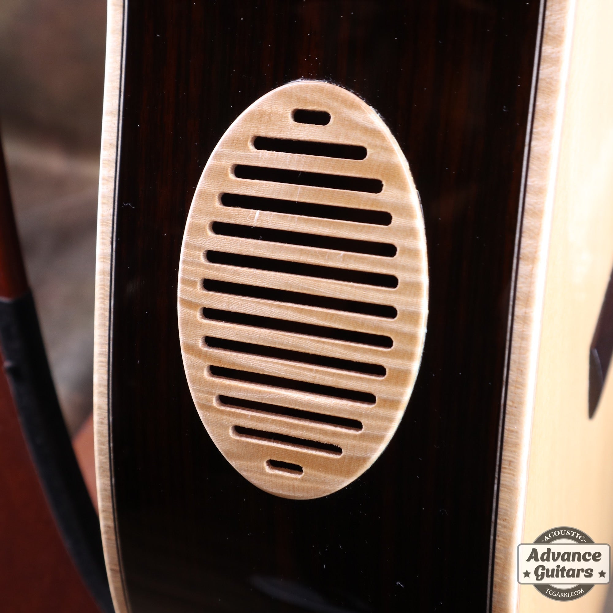 Memory of SONOMA CLASICAL - TC楽器 - TCGAKKI