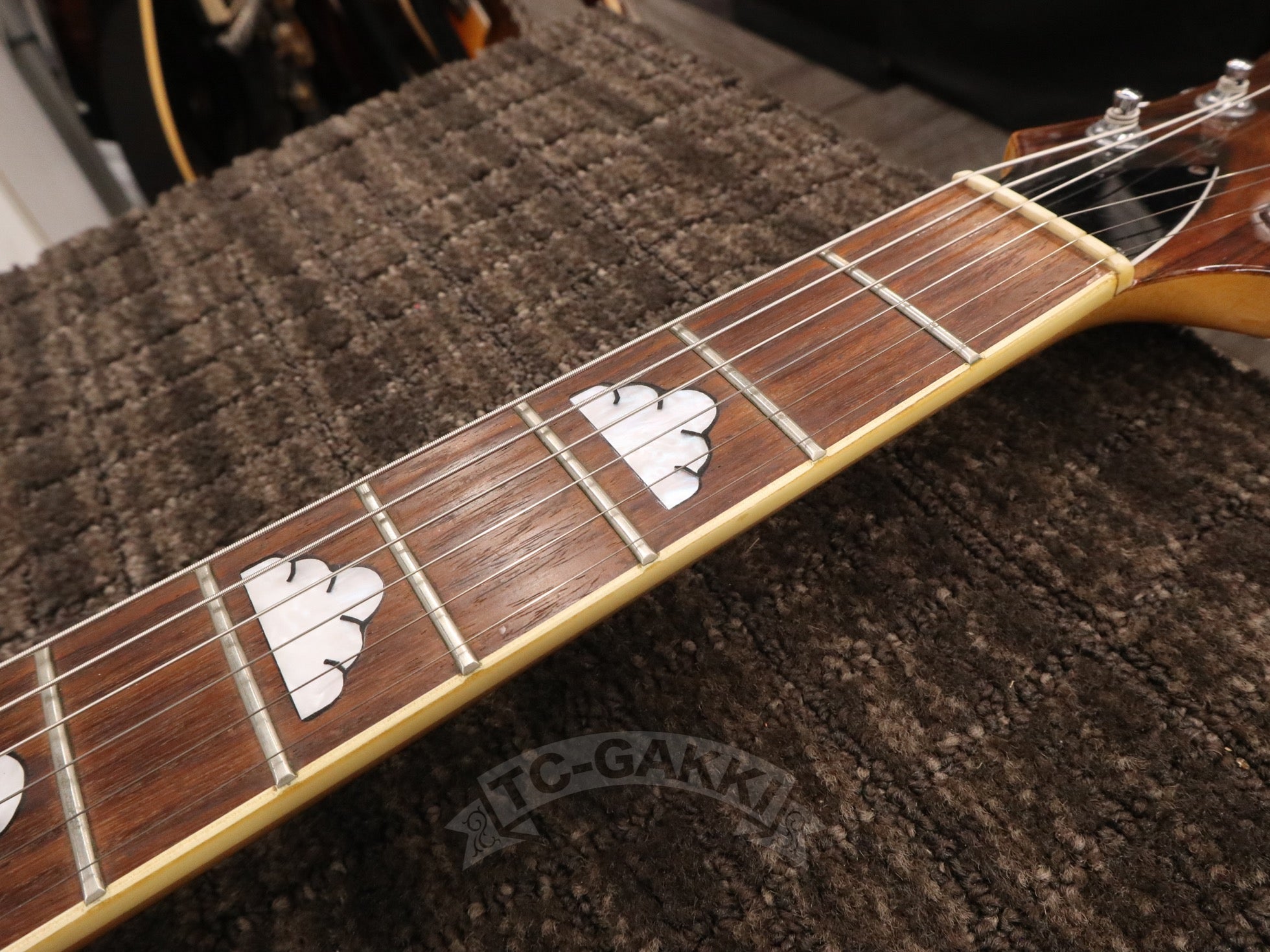 MG Model - TC楽器 - TCGAKKI