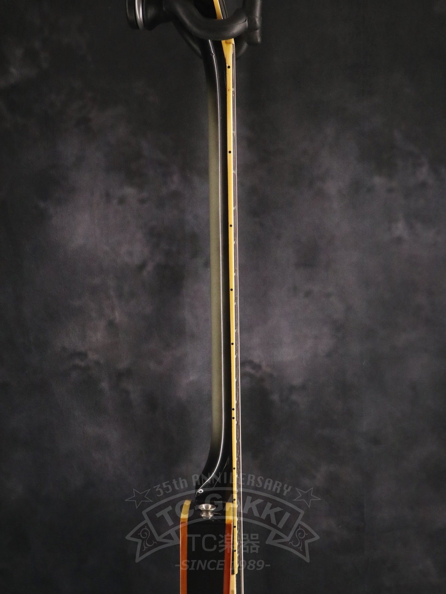 Moon sault Silver Sunburst - TC楽器 - TCGAKKI