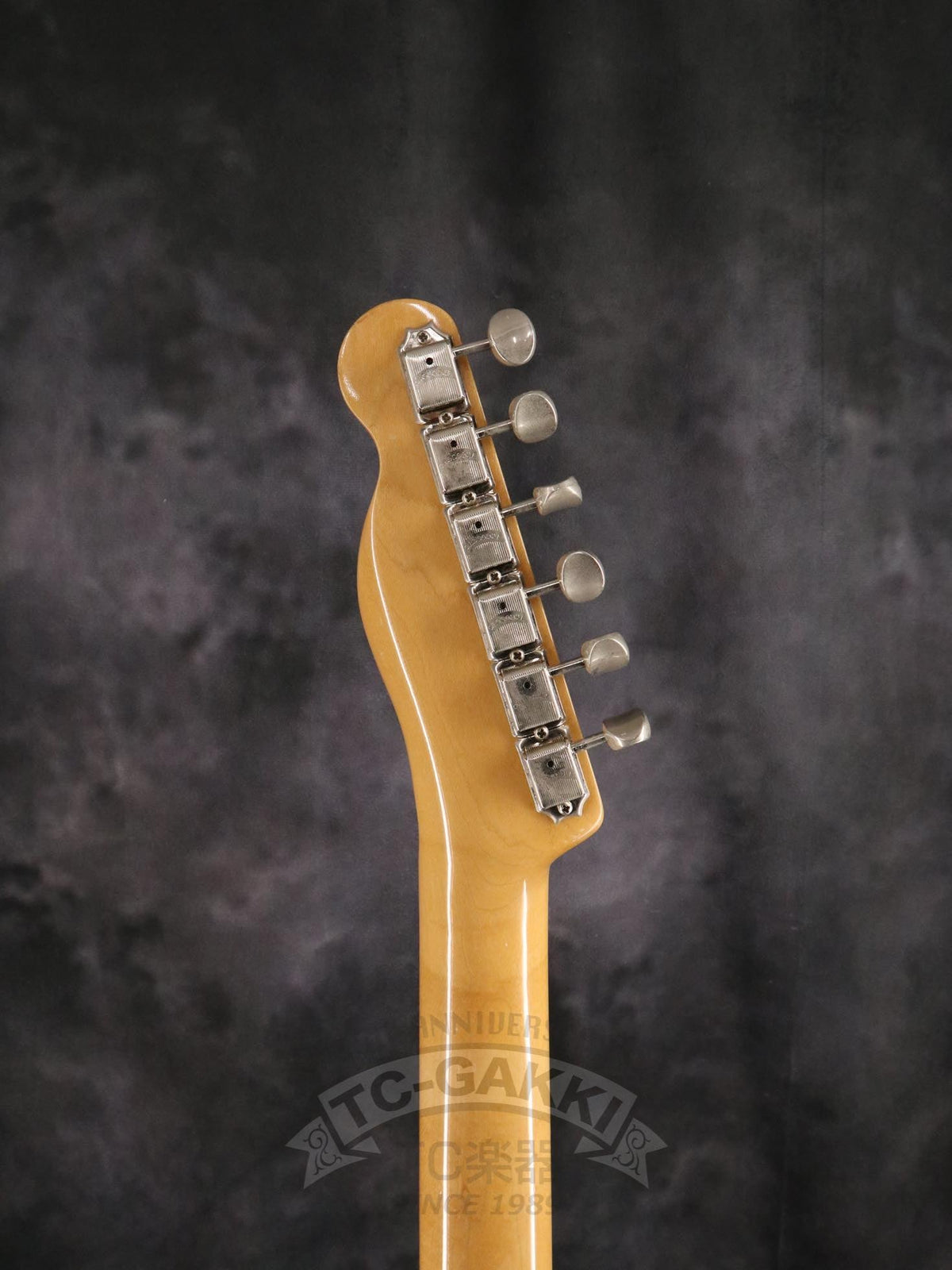 Moon TL-ASH - TC楽器 - TCGAKKI