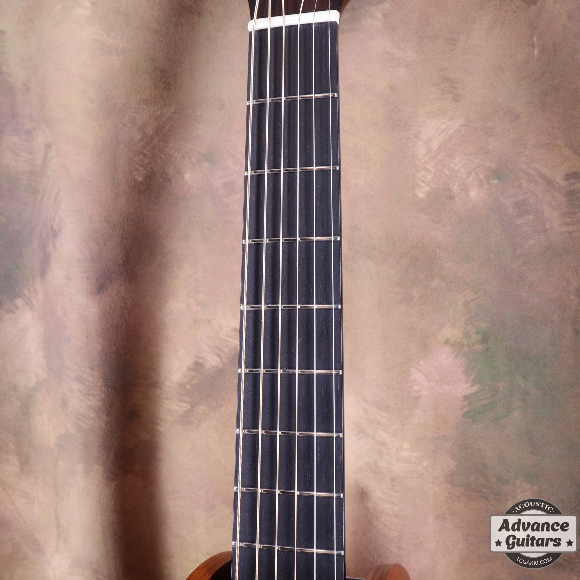 M.Shiozaki 2020s HLR-1MD - TC楽器 - TCGAKKI