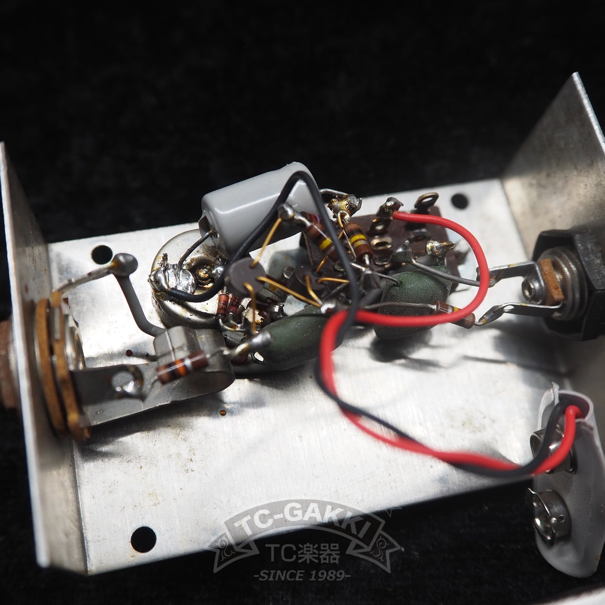 MUFF FUZZ - TC楽器 - TCGAKKI