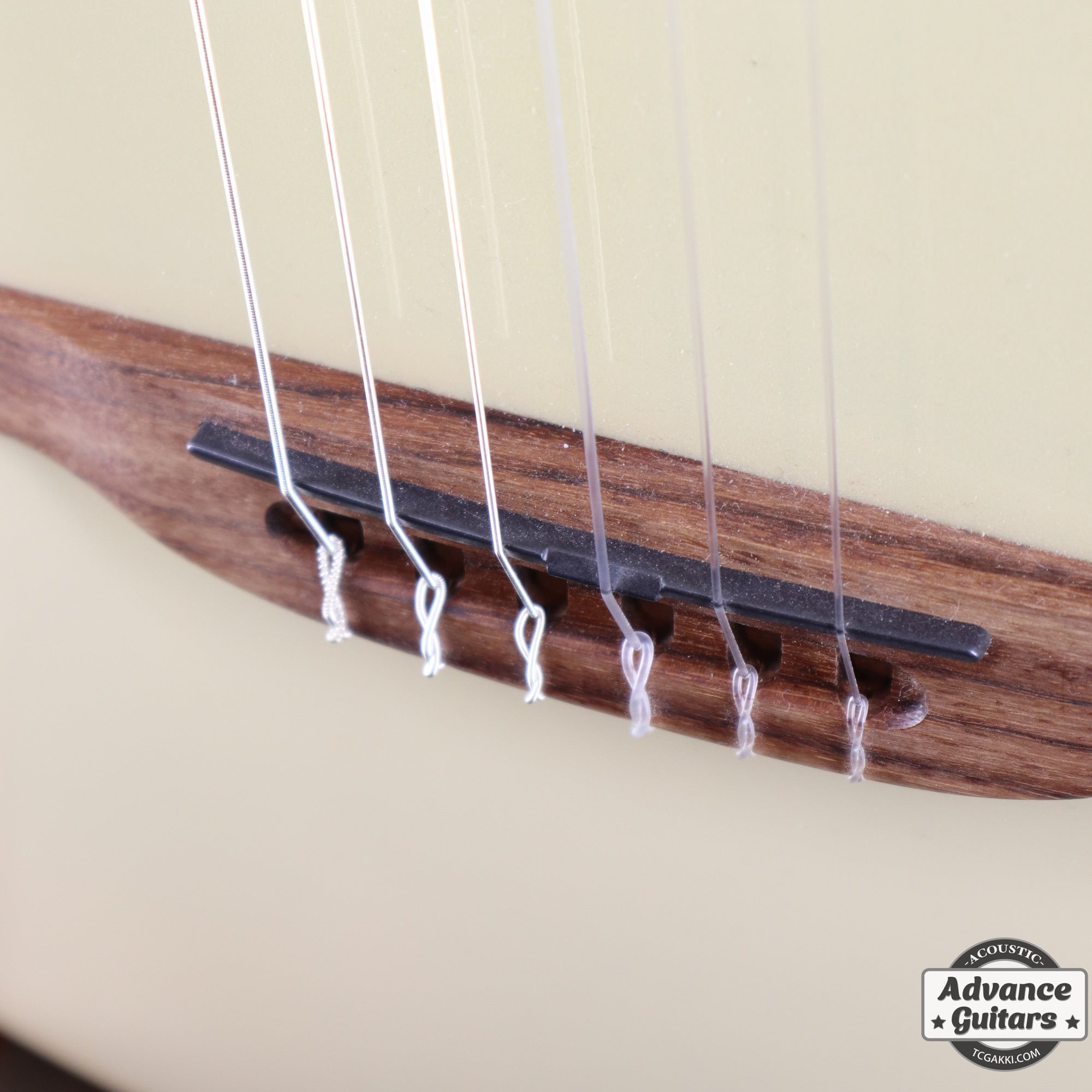 Multiac Mundial Oza - TC楽器 - TCGAKKI