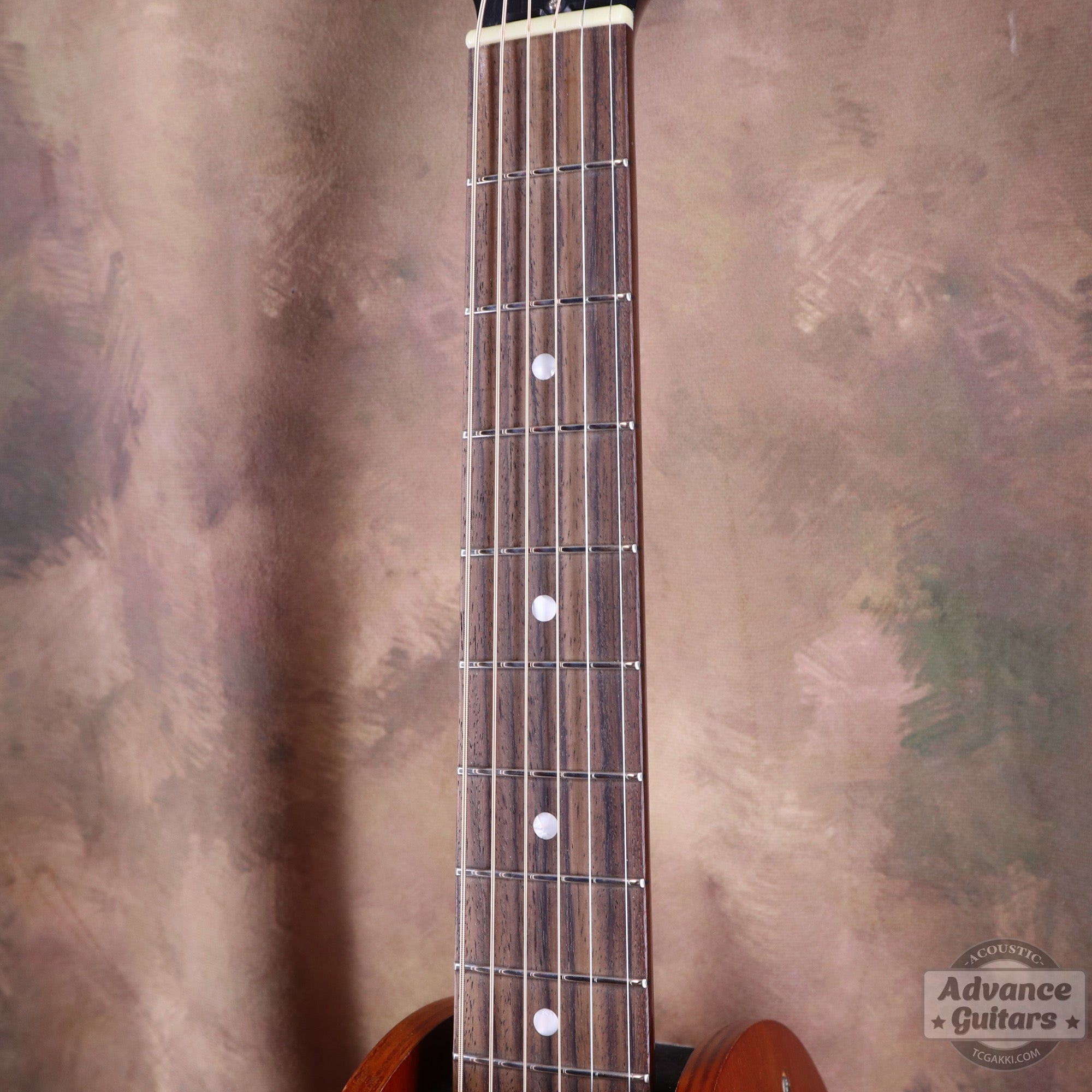 N2 The59 VS Ceramic Saddle Custom - TC楽器 - TCGAKKI