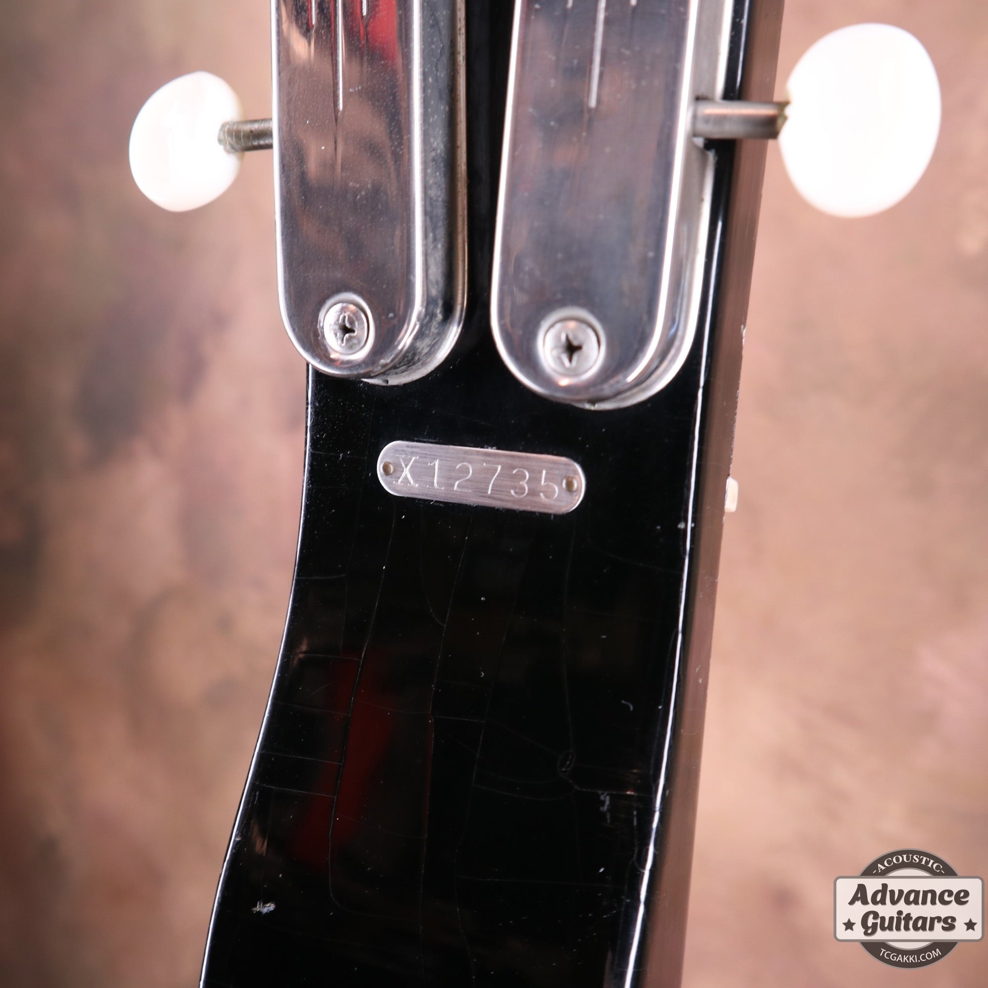 NEW YORKER LAP STEEL GUITAR - TC楽器 - TCGAKKI