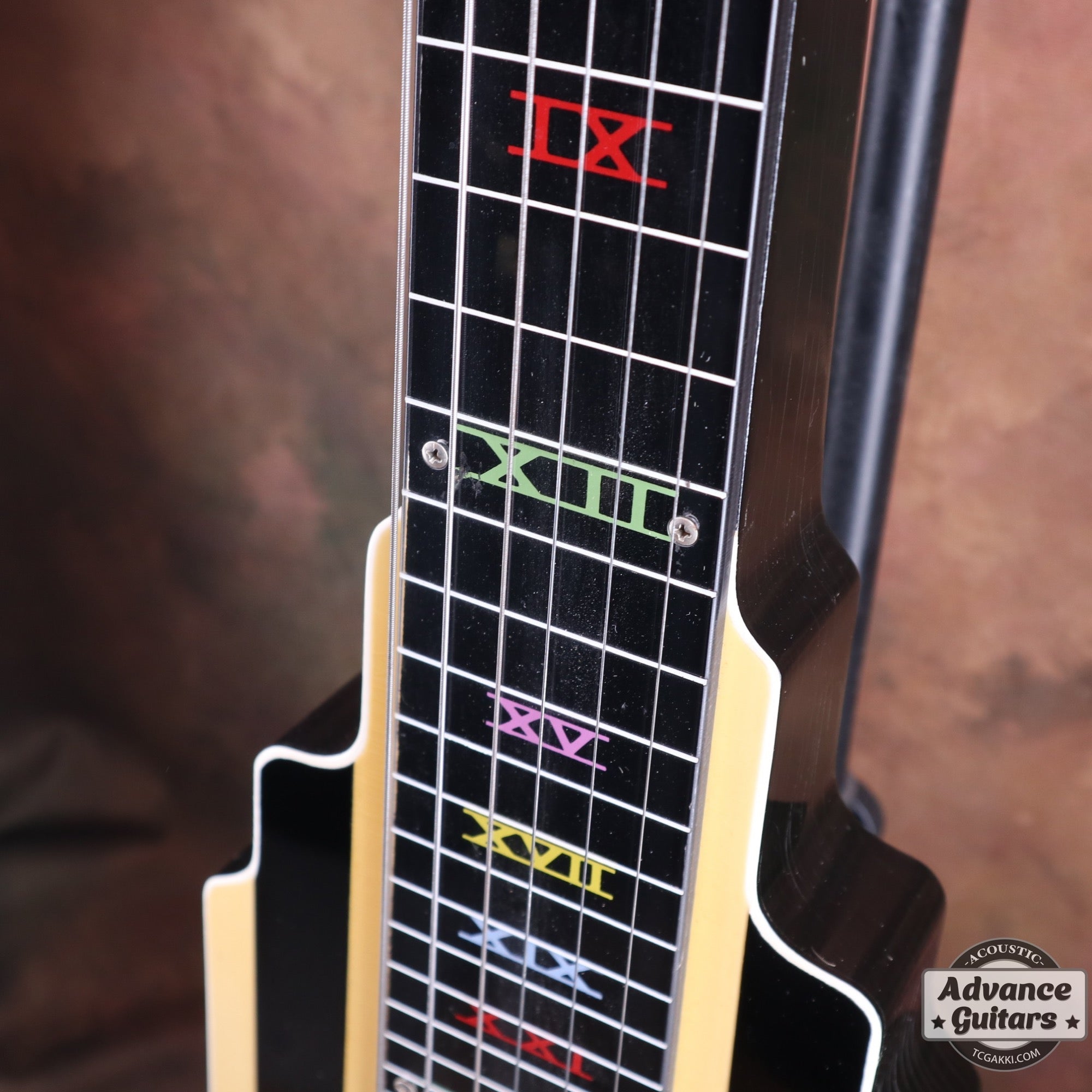 NEW YORKER LAP STEEL GUITAR - TC楽器 - TCGAKKI
