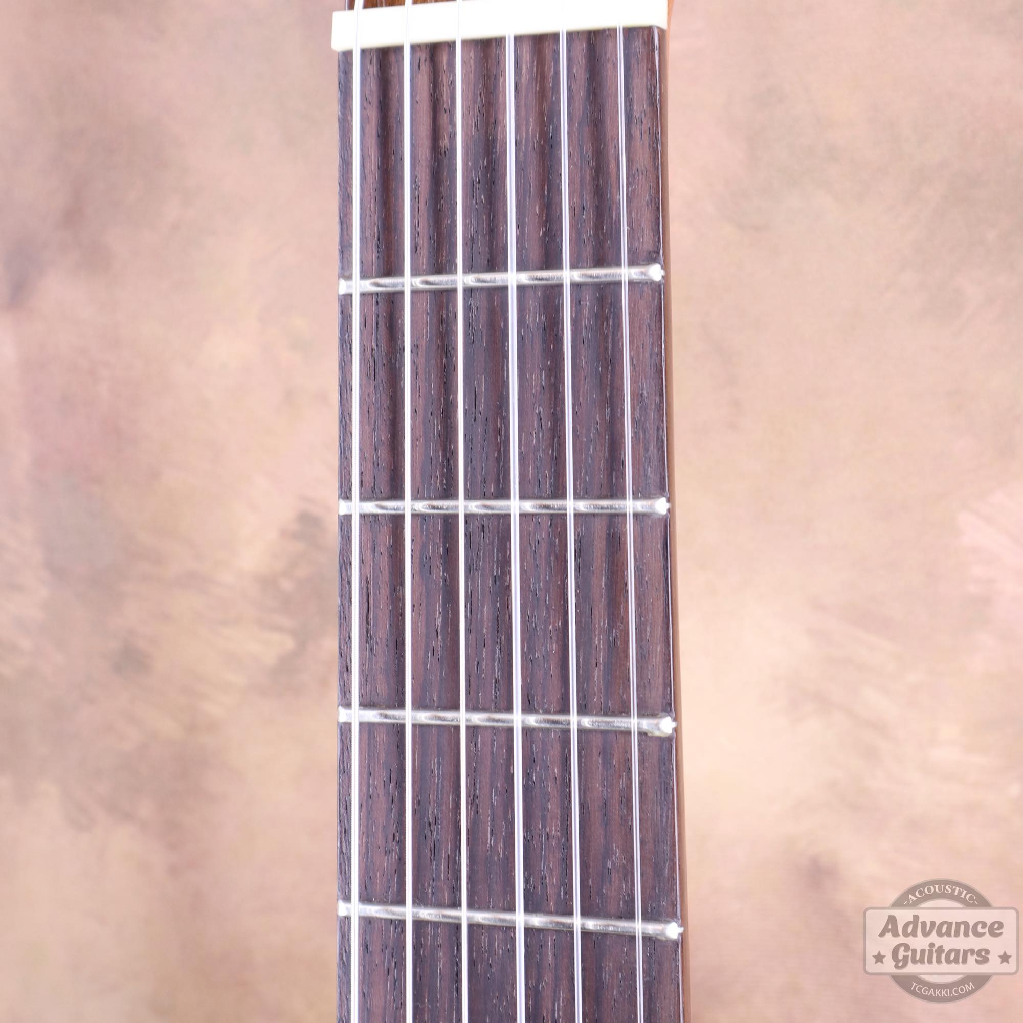 NF - 04B - TC楽器 - TCGAKKI