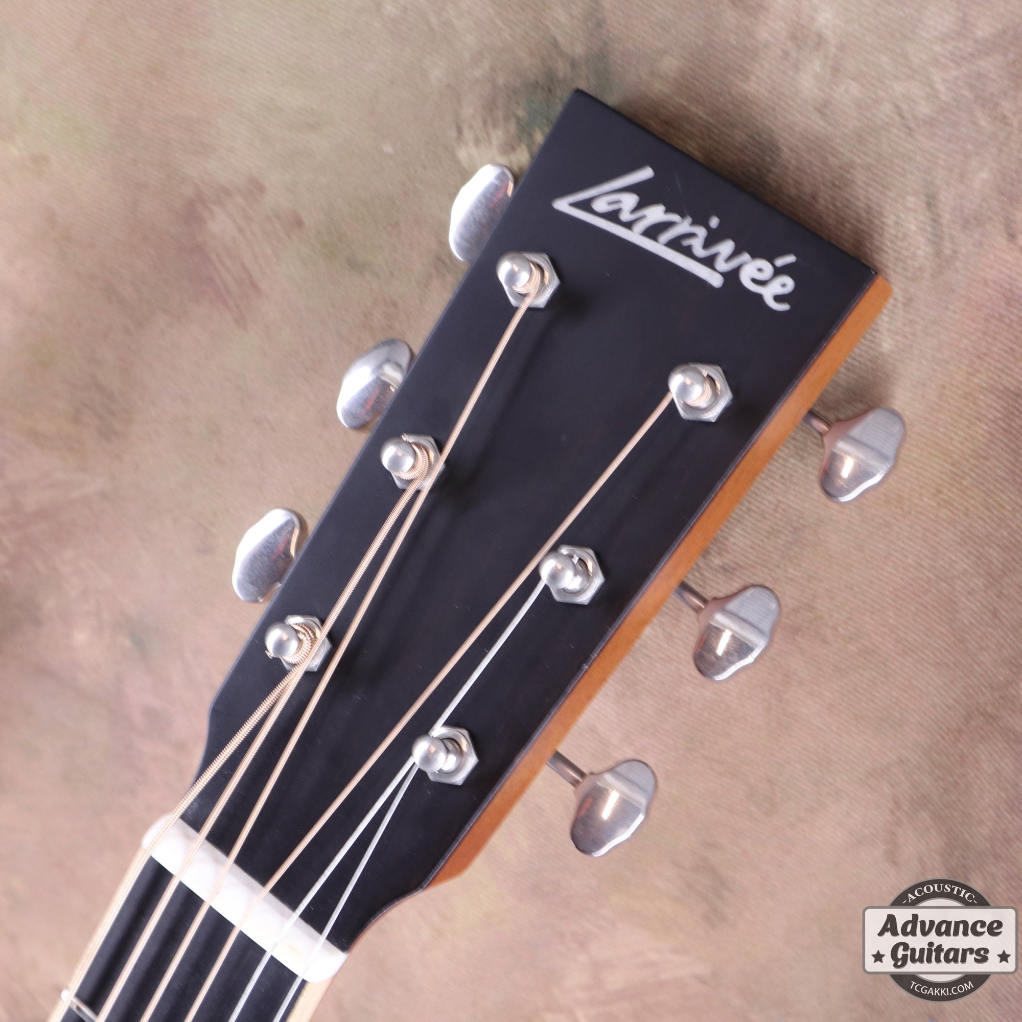 OMV - 40R - TC楽器 - TCGAKKI