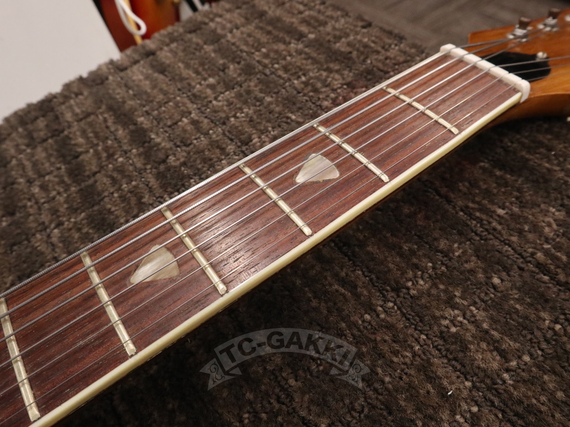 P - 3 - TC楽器 - TCGAKKI