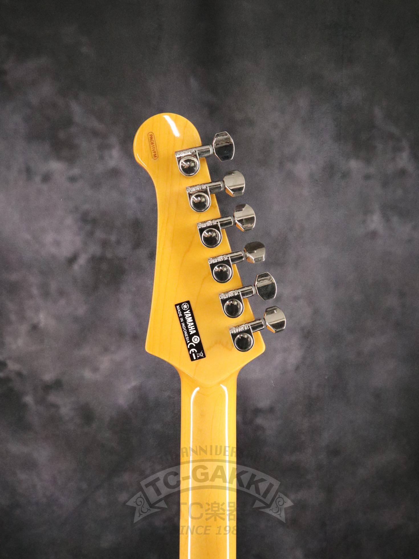 PAC611VFM - TC楽器 - TCGAKKI