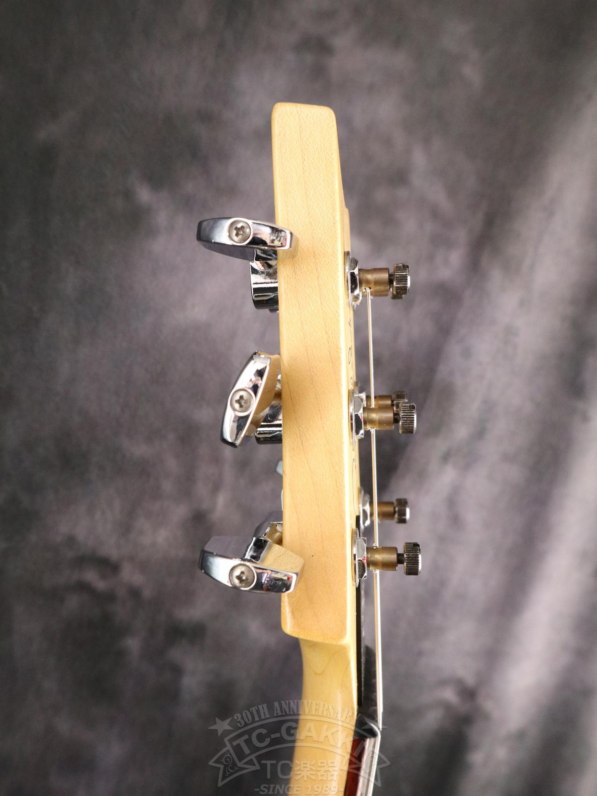 Paul Reed Smith CE24 Maho Satin - TC楽器 - TCGAKKI