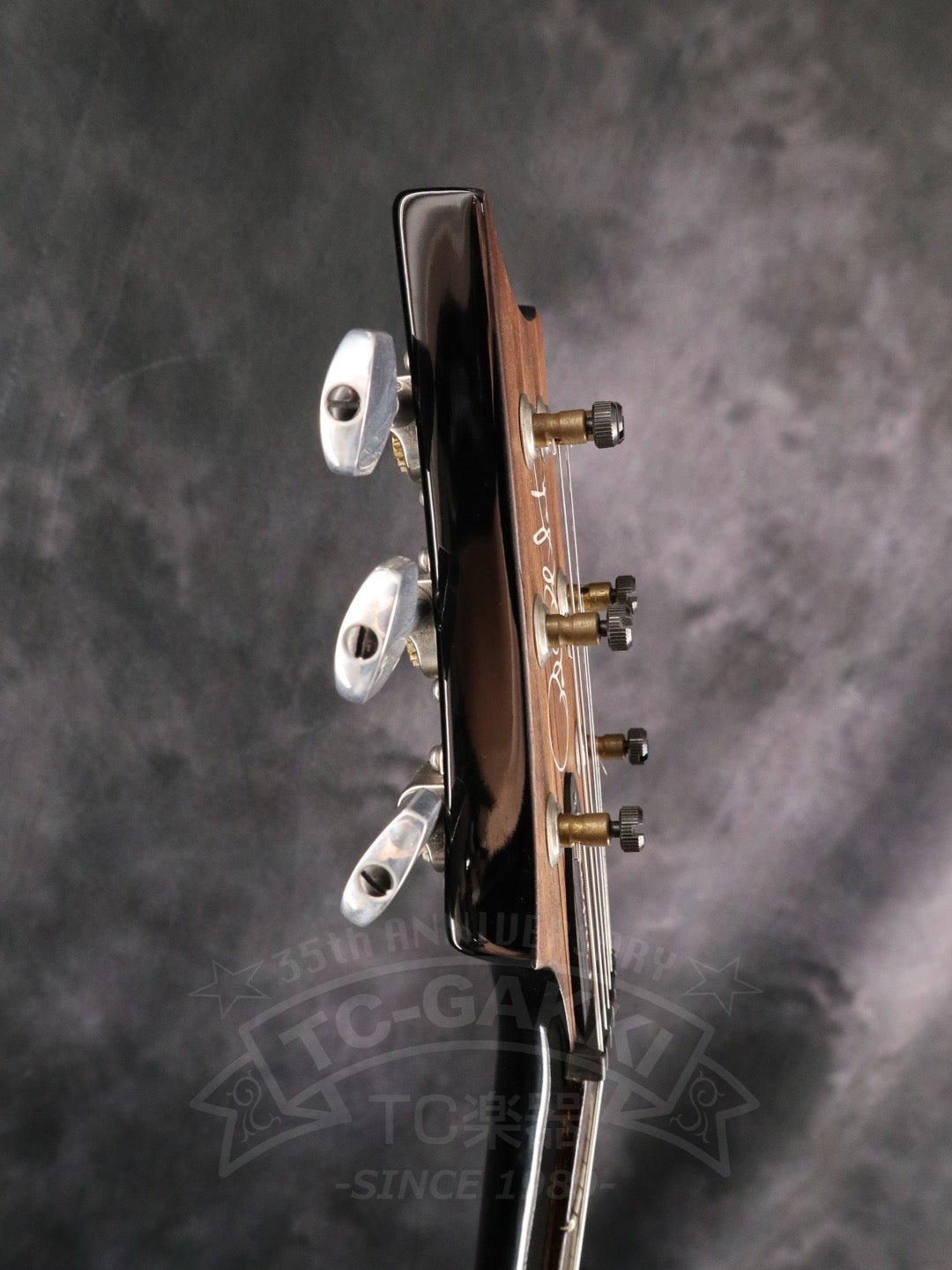 Paul Reed Smith Custom 24 10Top - TC楽器 - TCGAKKI