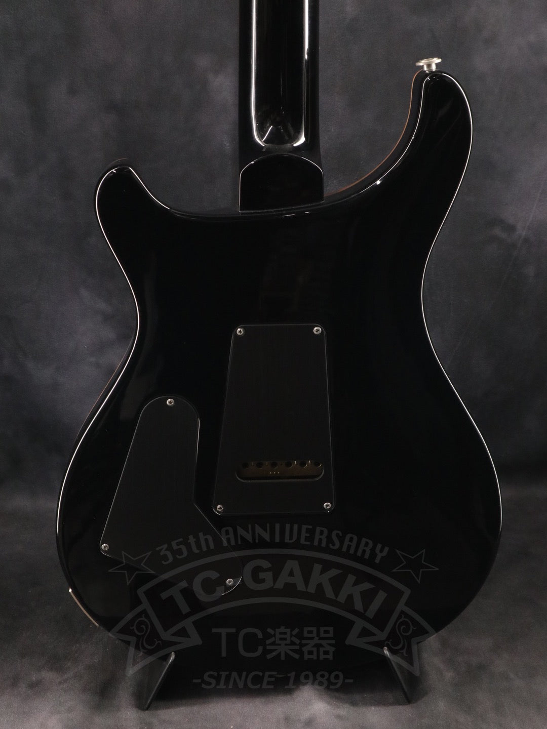 Paul Reed Smith Custom 24 10Top - TC楽器 - TCGAKKI
