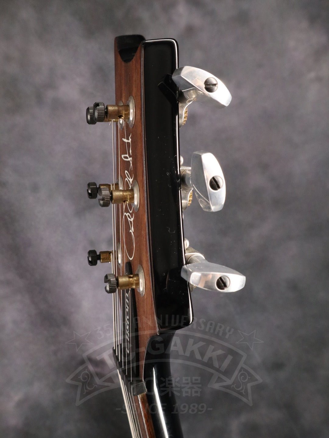 Paul Reed Smith Custom 24 10Top - TC楽器 - TCGAKKI
