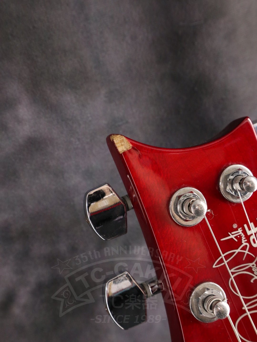 Paul Reed Smith SE Custom 24 - TC楽器 - TCGAKKI