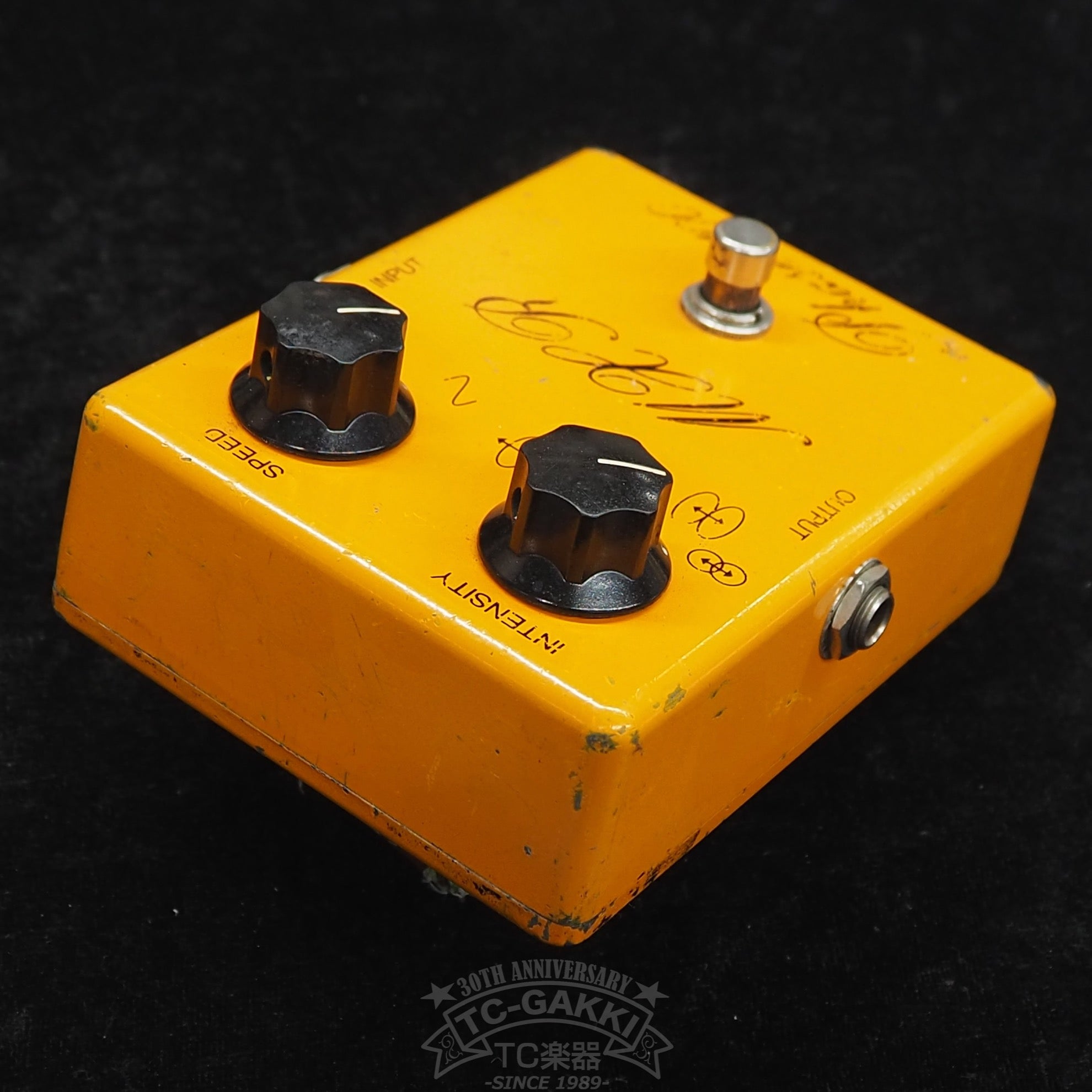 Phase 100 (Script Logo) - TC楽器 - TCGAKKI