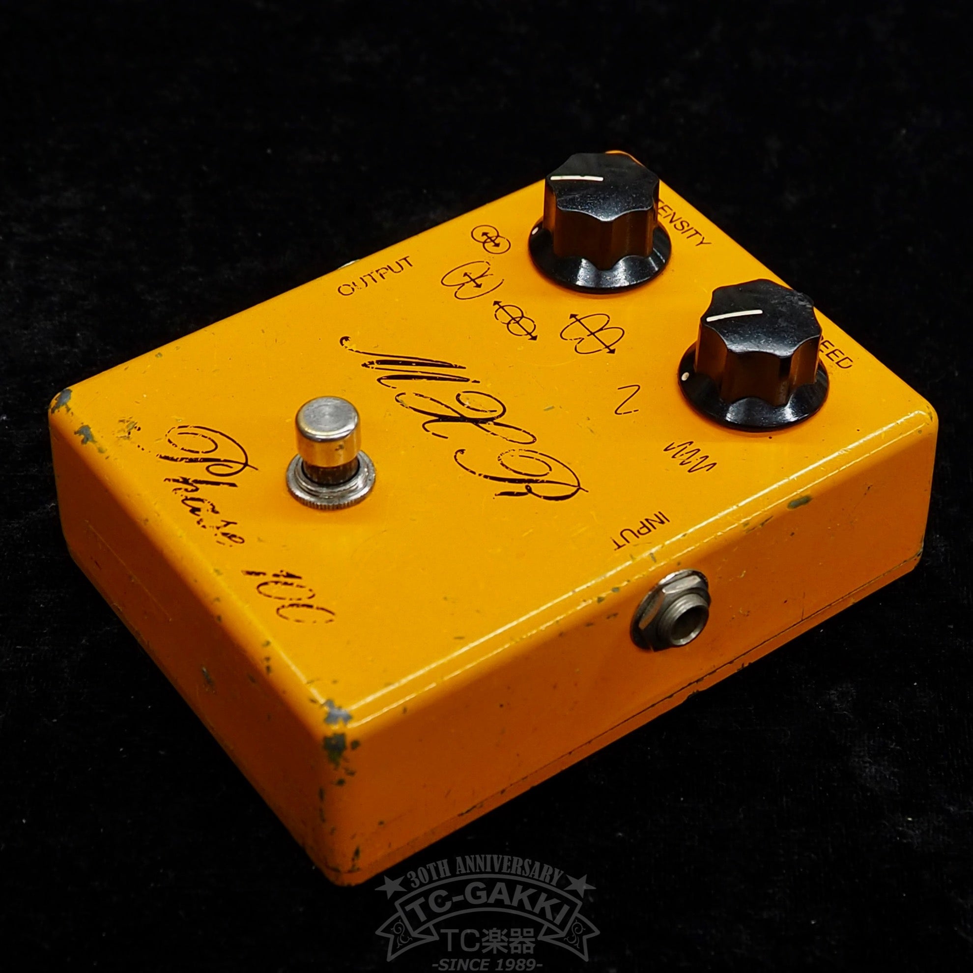 Phase 100 (Script Logo) - TC楽器 - TCGAKKI