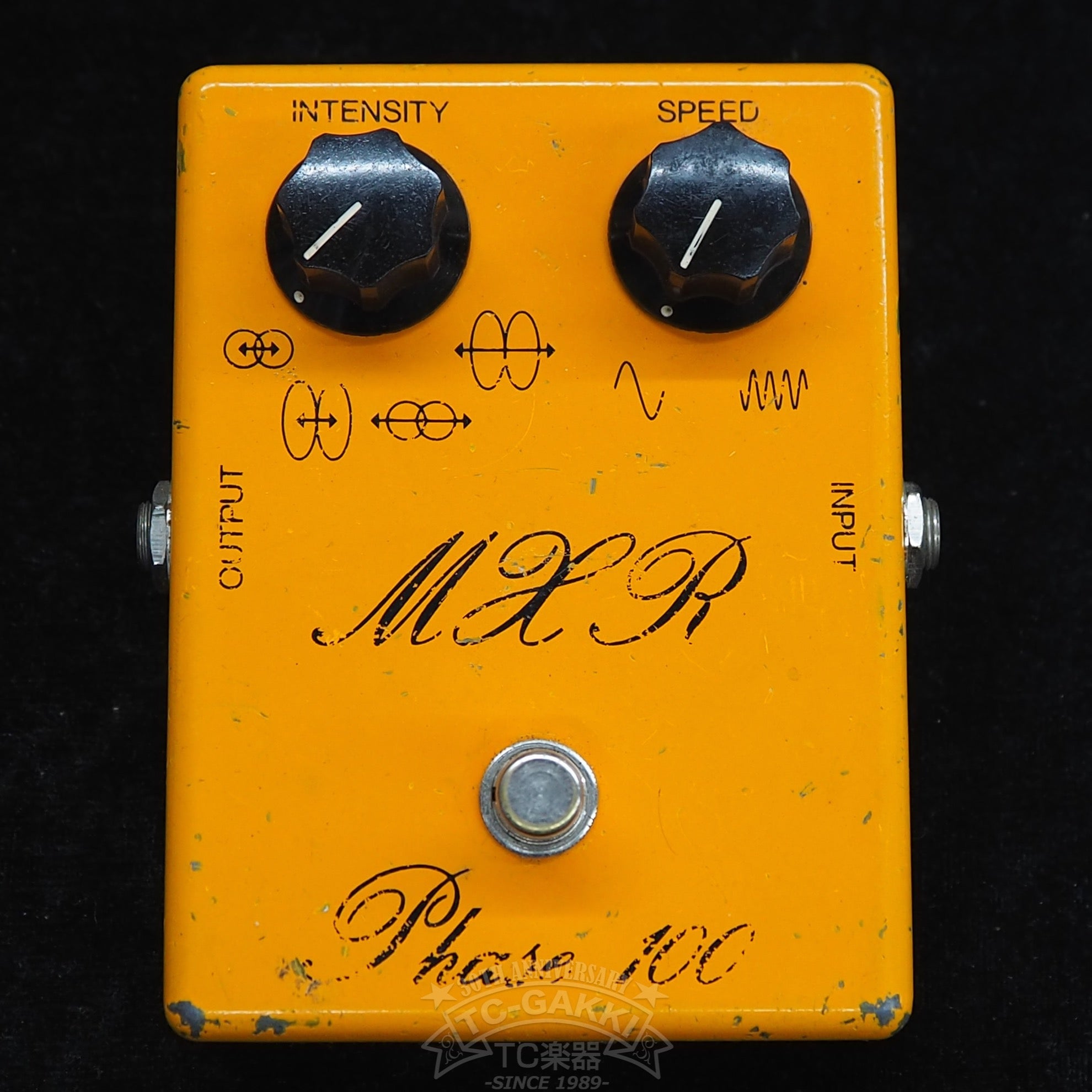 Phase 100 (Script Logo) - TC楽器 - TCGAKKI