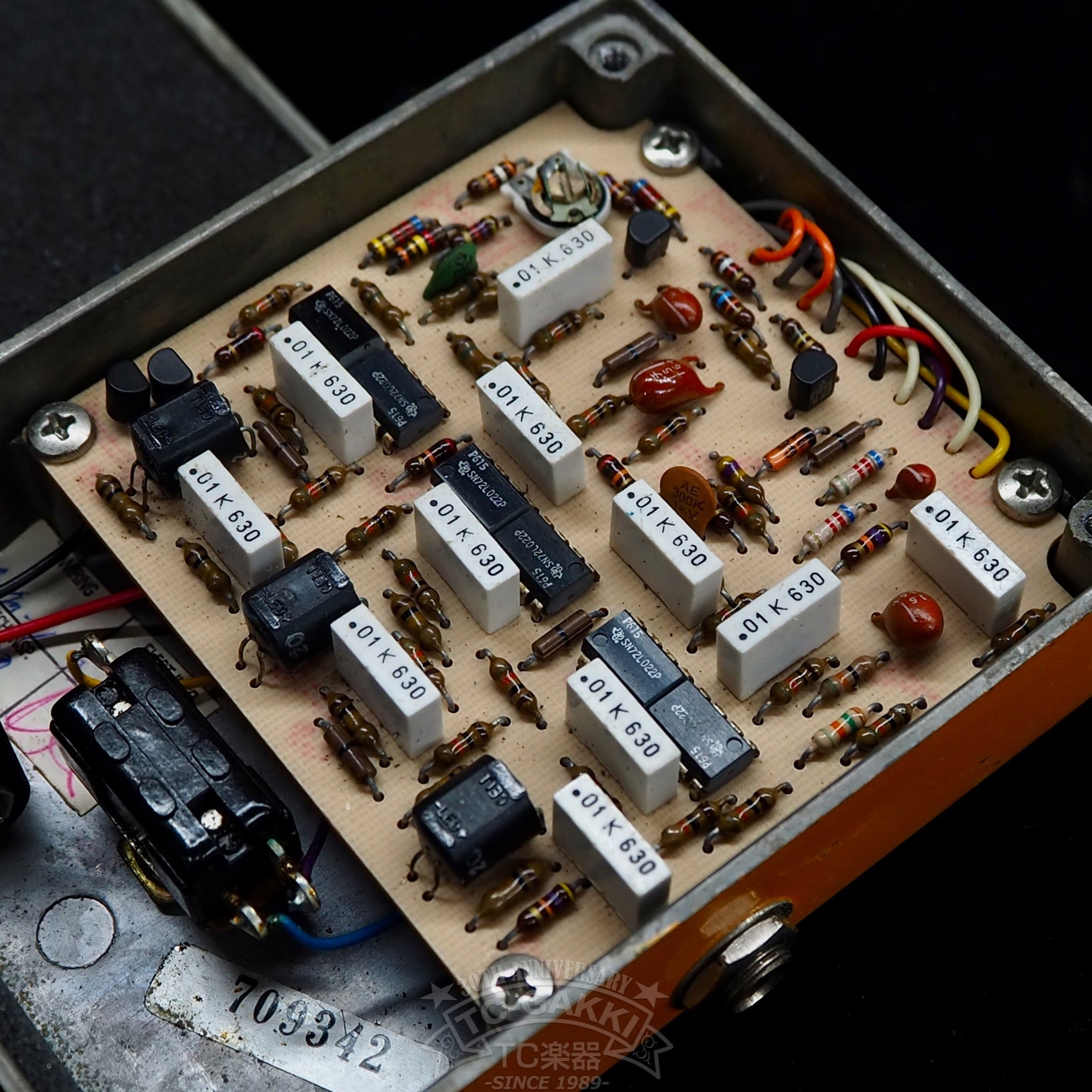 Phase 100 (Script Logo) - TC楽器 - TCGAKKI