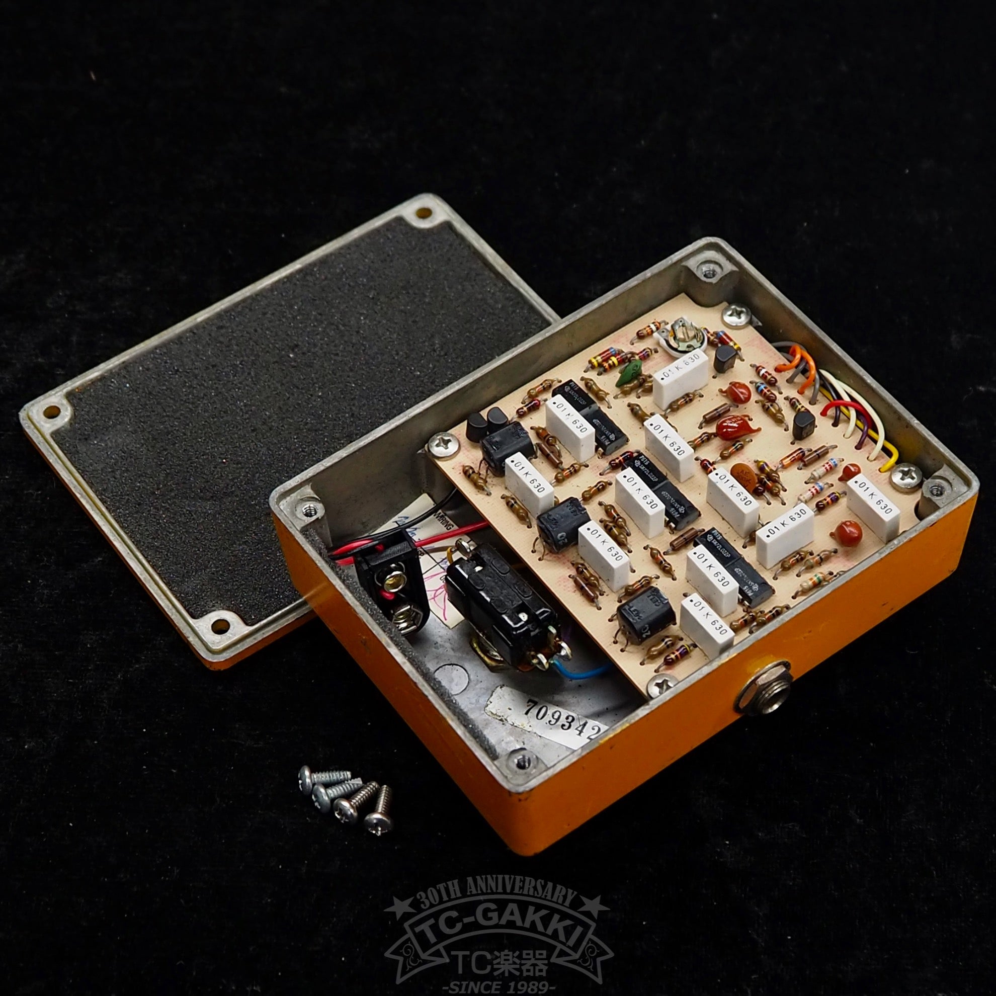 Phase 100 (Script Logo) - TC楽器 - TCGAKKI