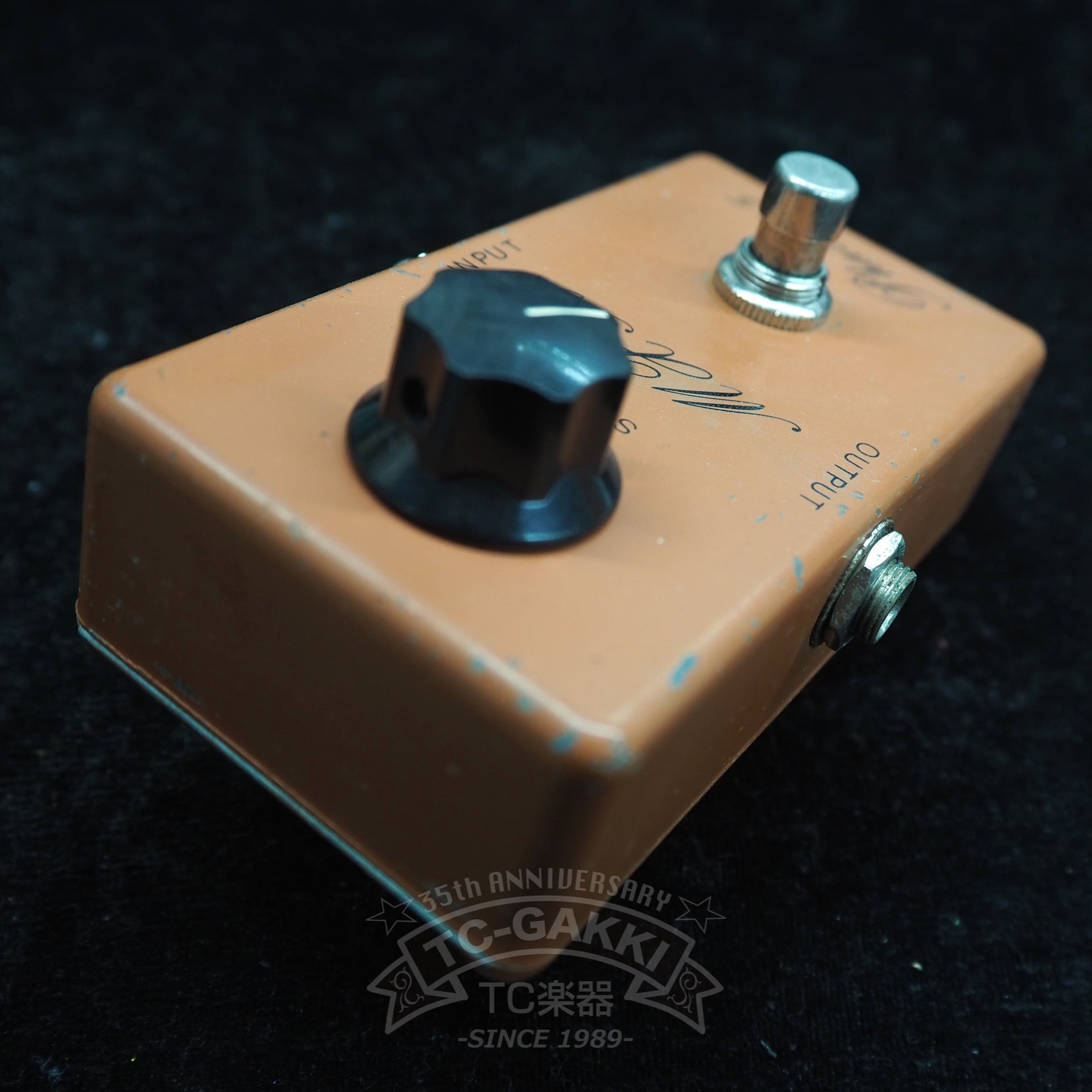 Phase 45 (Script Logo) - TC楽器 - TCGAKKI