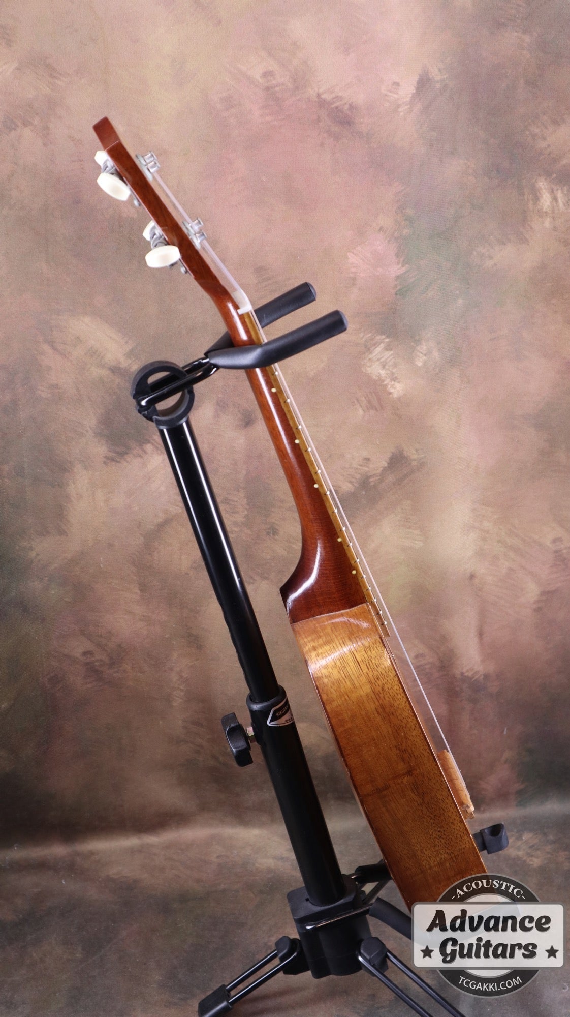 Pineapple - TC楽器 - TCGAKKI