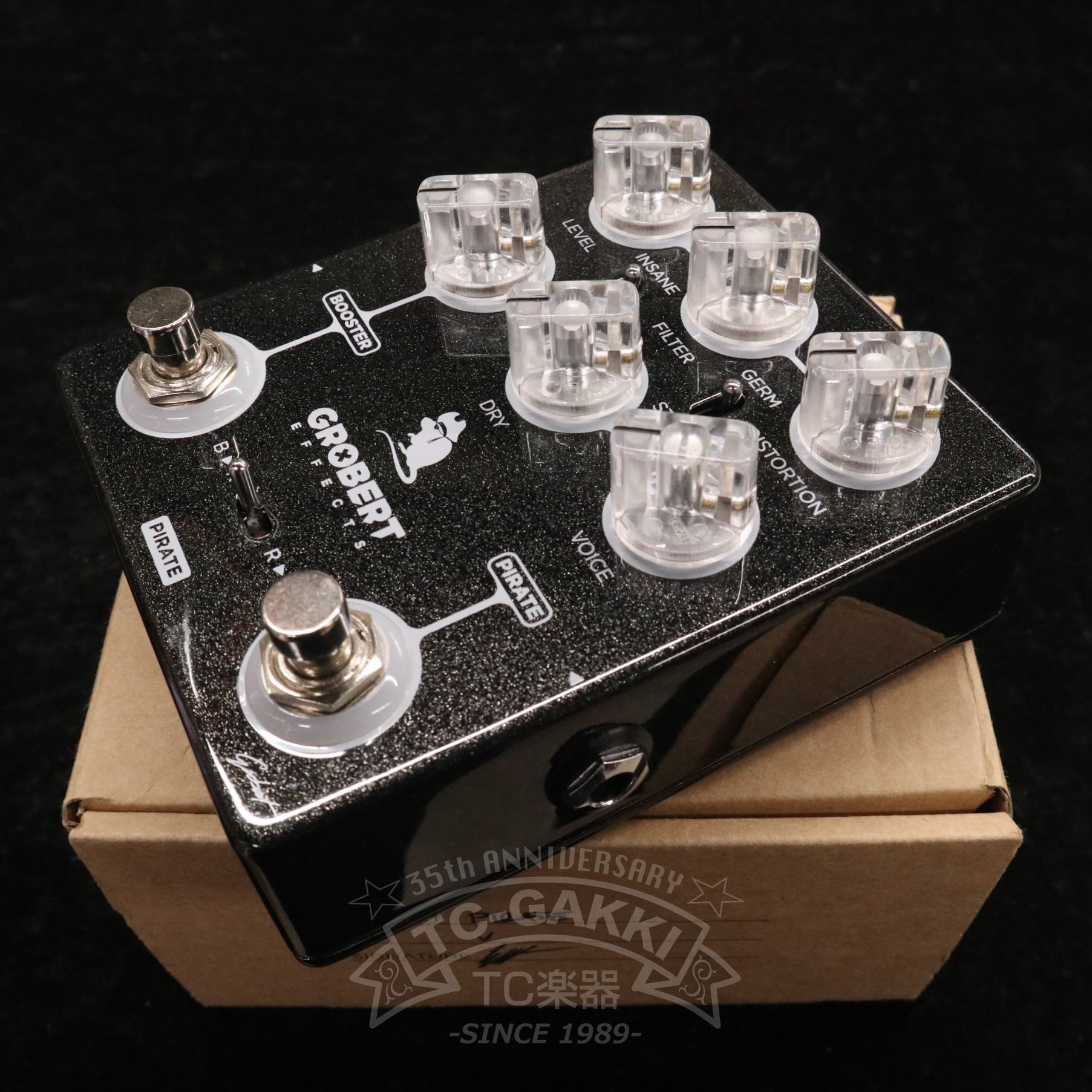 pirate-8481981.jpg?v=1764061096