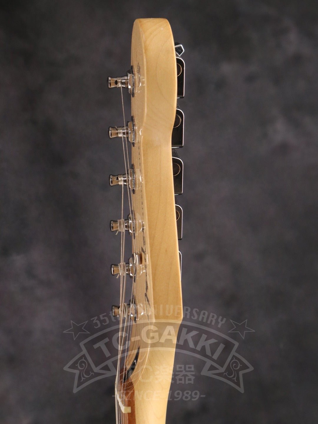 Player Stratocaster - TC楽器 - TCGAKKI