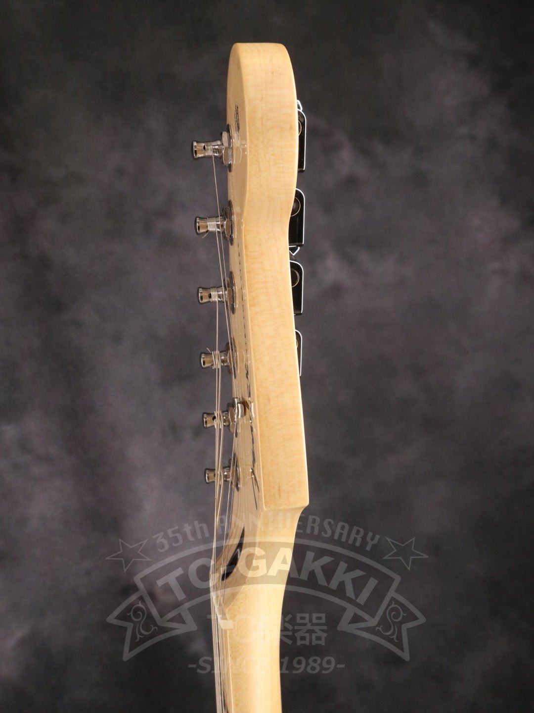 Player Stratocaster HSS - TC楽器 - TCGAKKI
