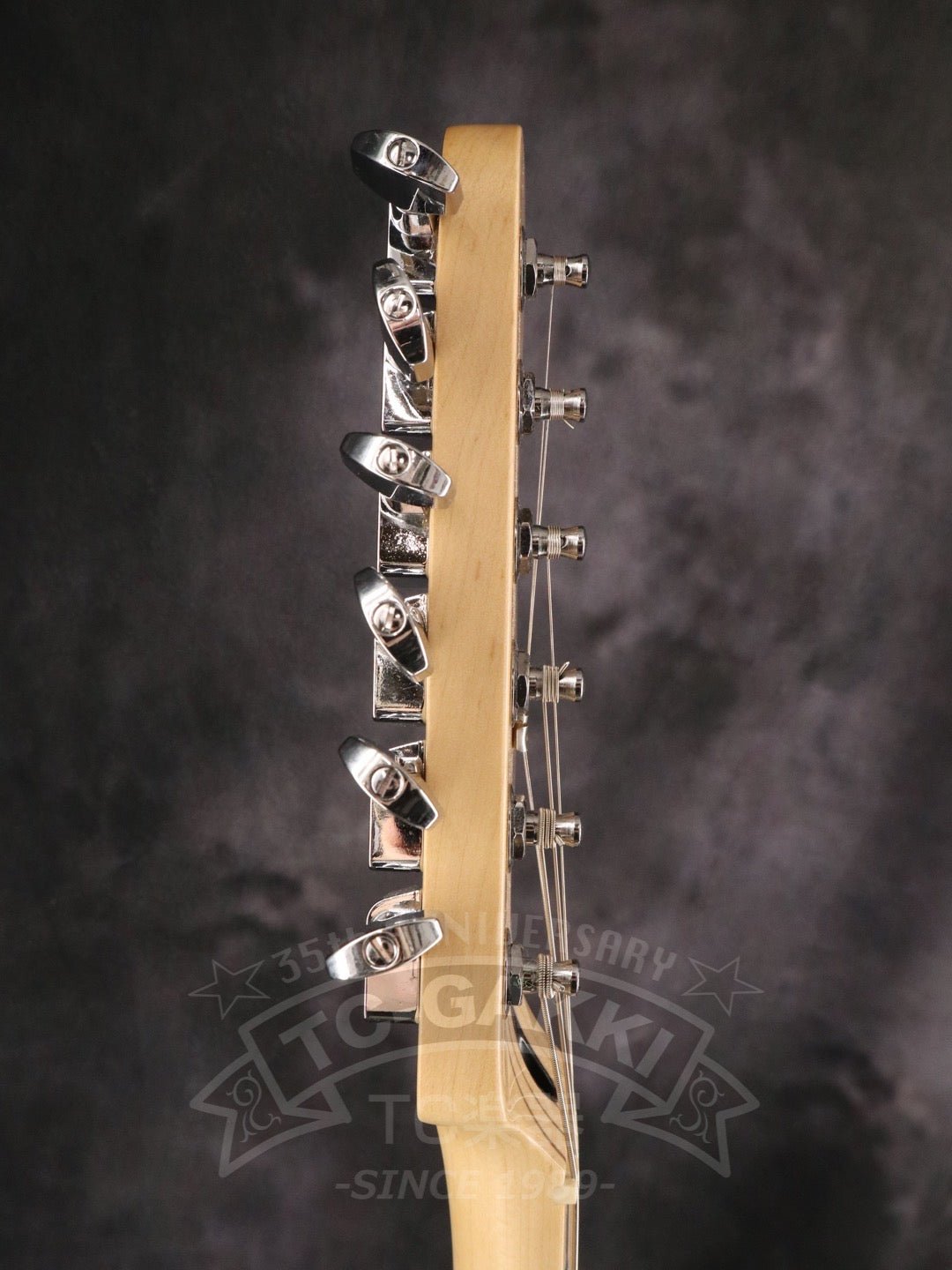 Player Stratocaster HSS - TC楽器 - TCGAKKI