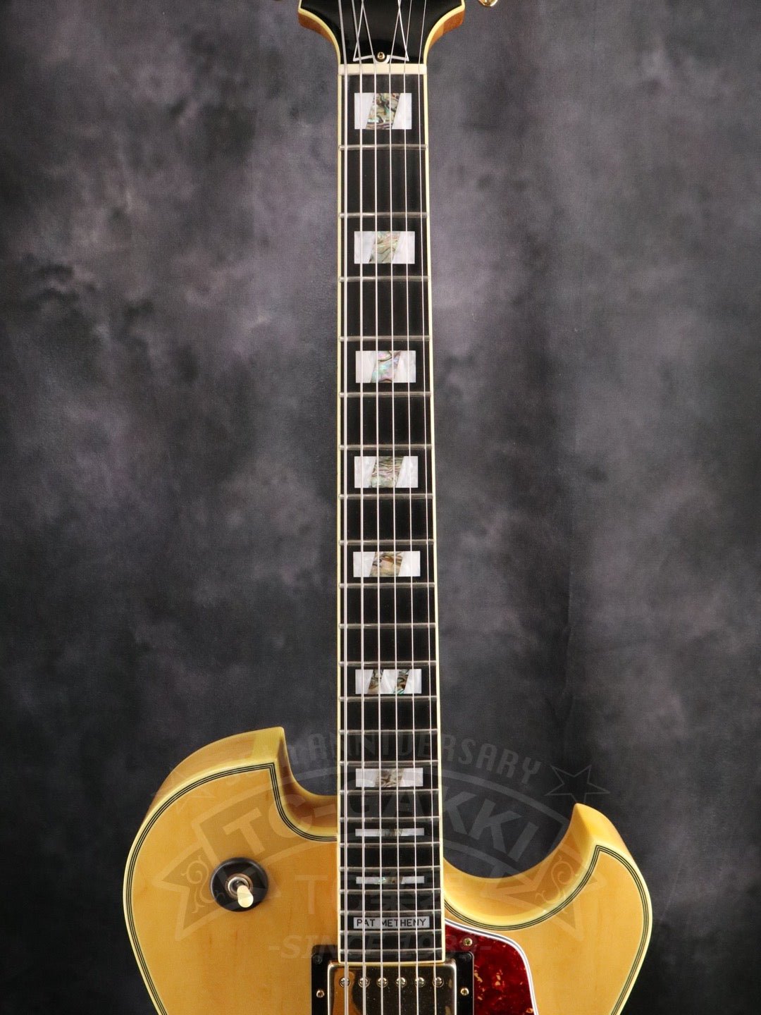 PM120 - TC楽器 - TCGAKKI