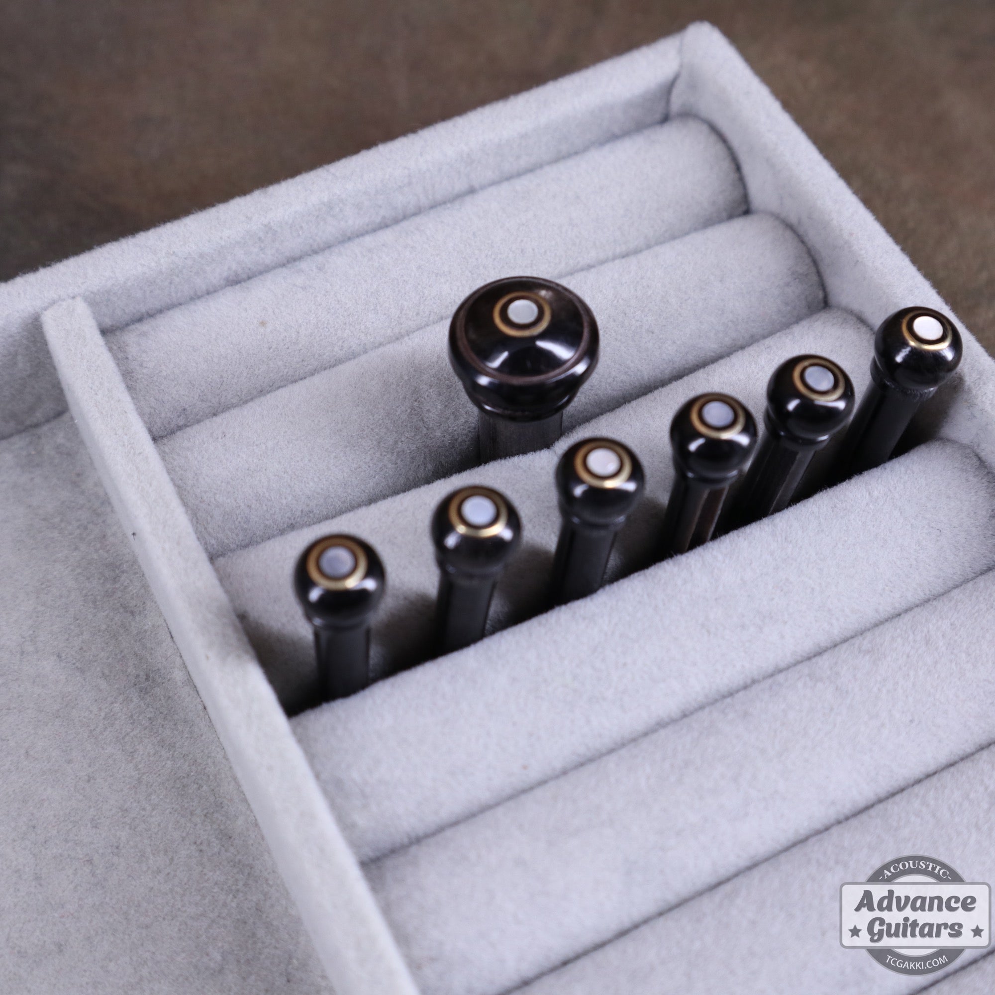 Preciso Bone Bridge Pin & End Pin Set(Black Water Buffalo Horn & Mother of Pearl & Parisian Eye) - TC楽器 - TCGAKKI