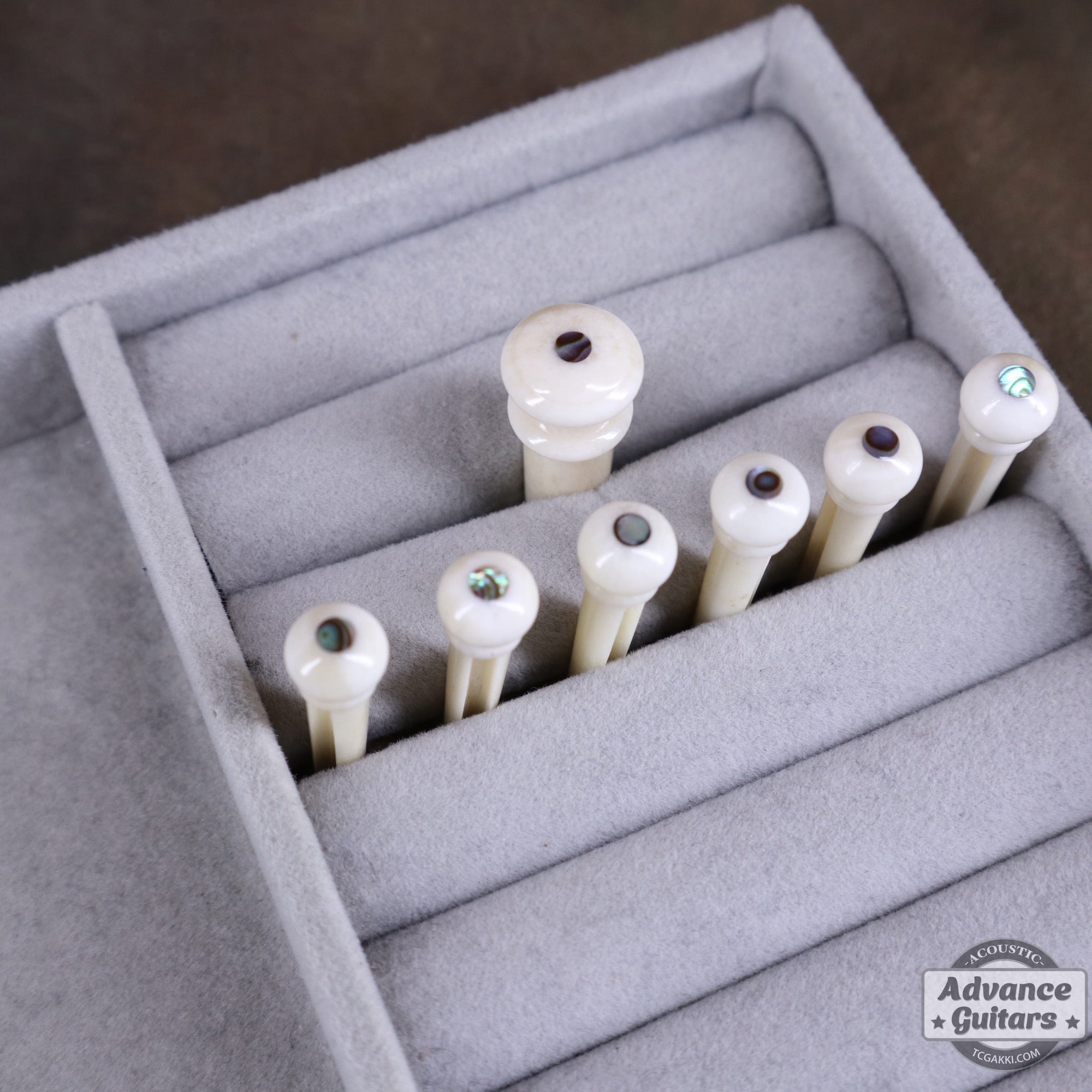 Preciso Bridge Pin & End Pin Set(Bone & Abalone Dot) - TC楽器 - TCGAKKI